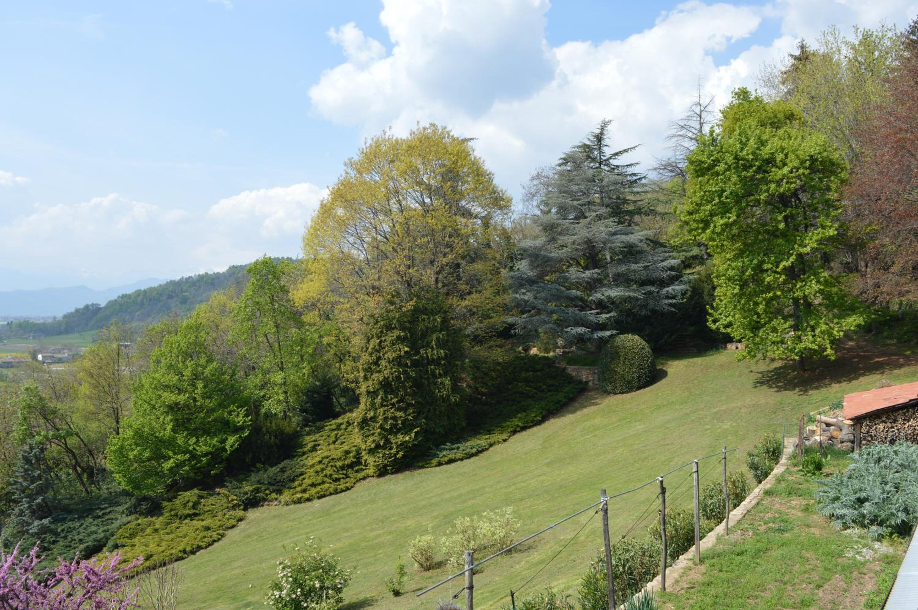 Photo 42
