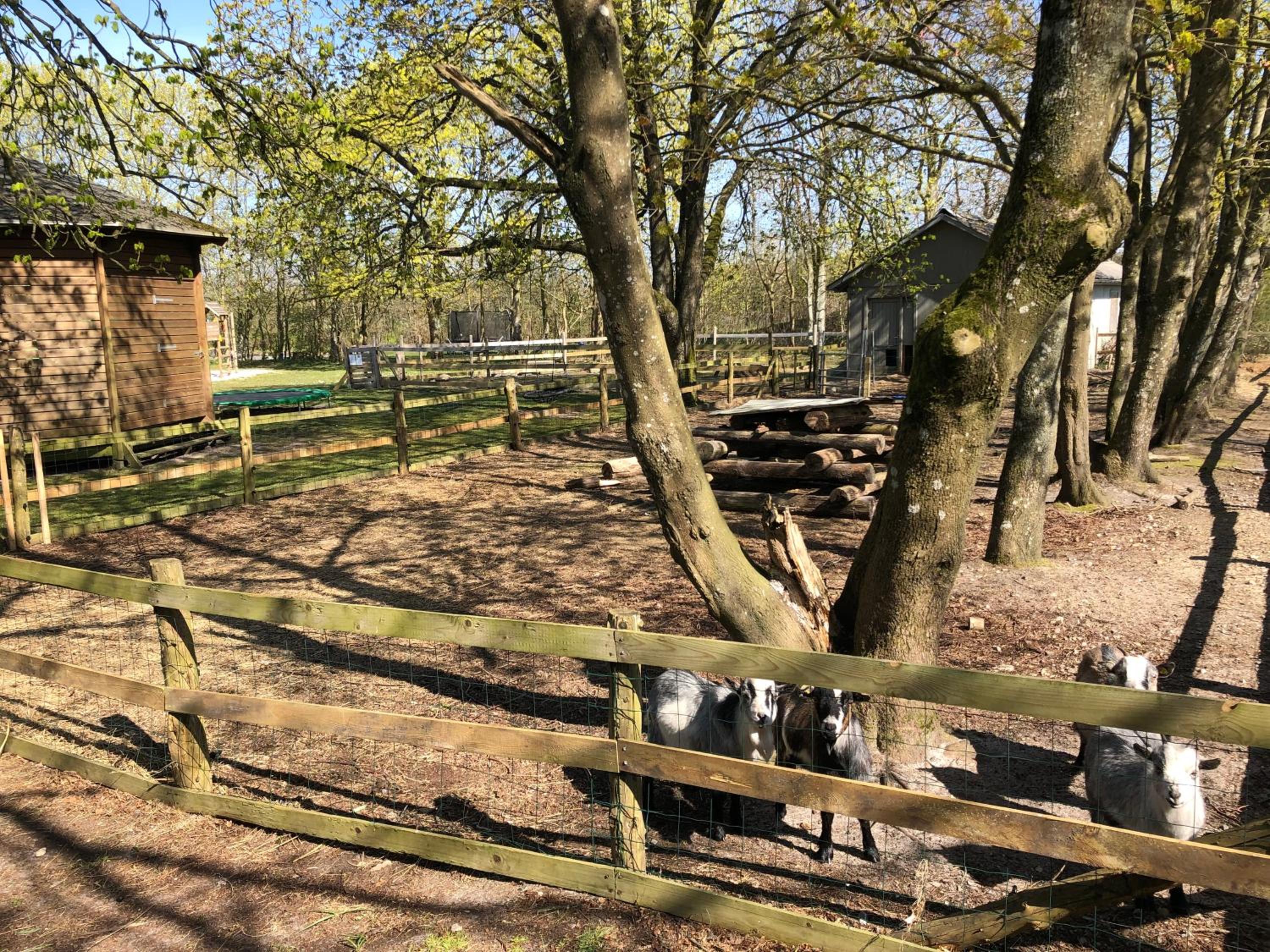 Hestkær Family Rooms Summer Camp