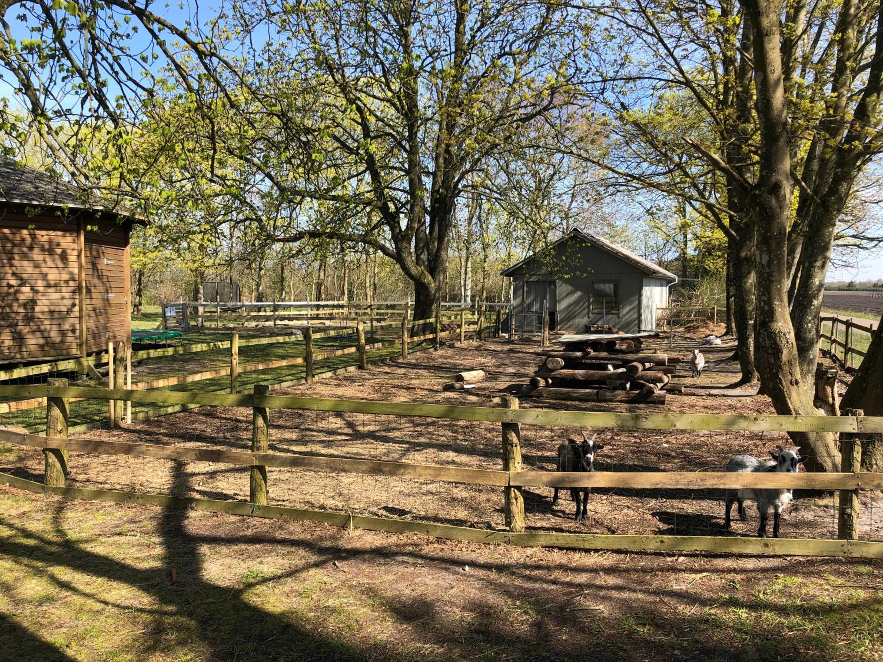 Hestkær Family Rooms Summer Camp