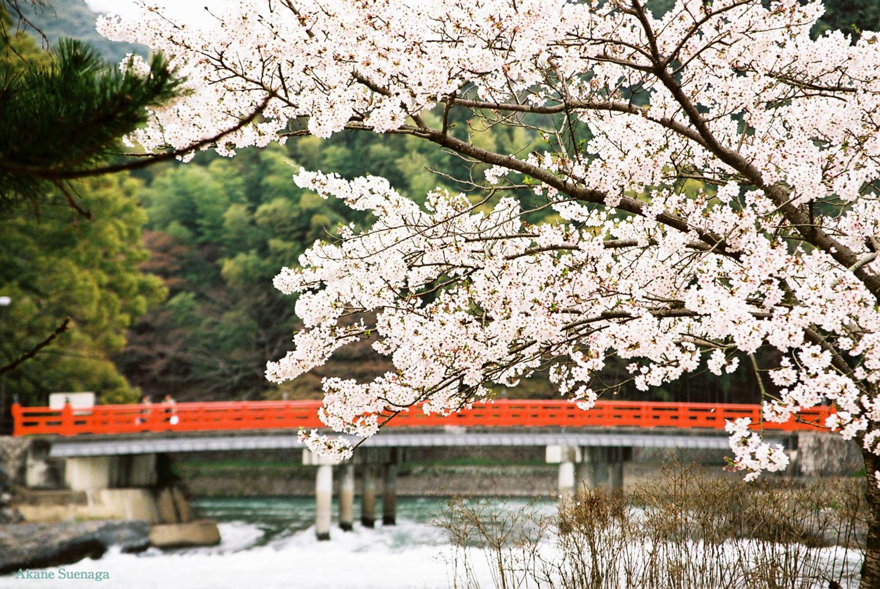 Kyoto Home Kiyomizu photo 3