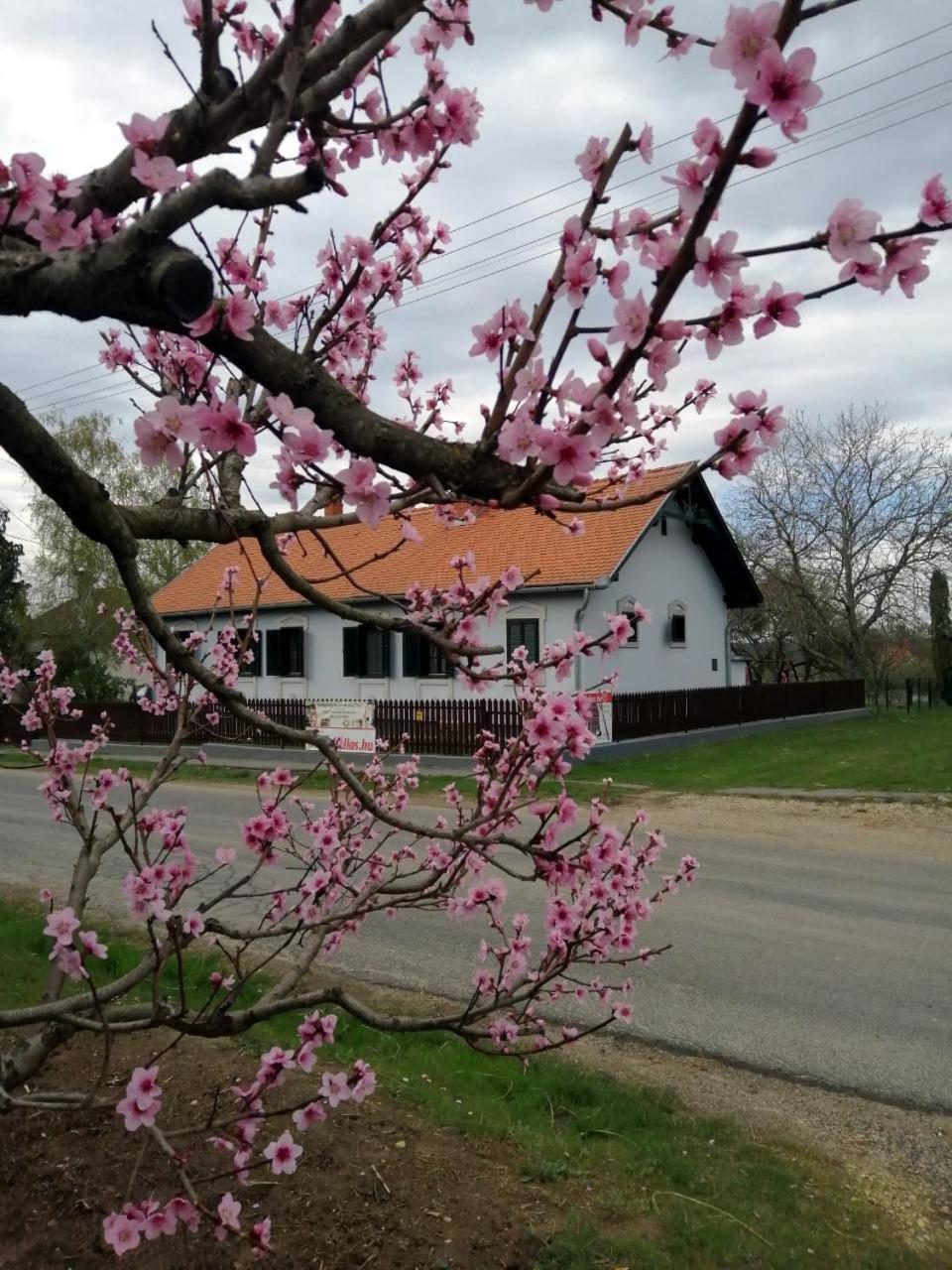 Photo 21