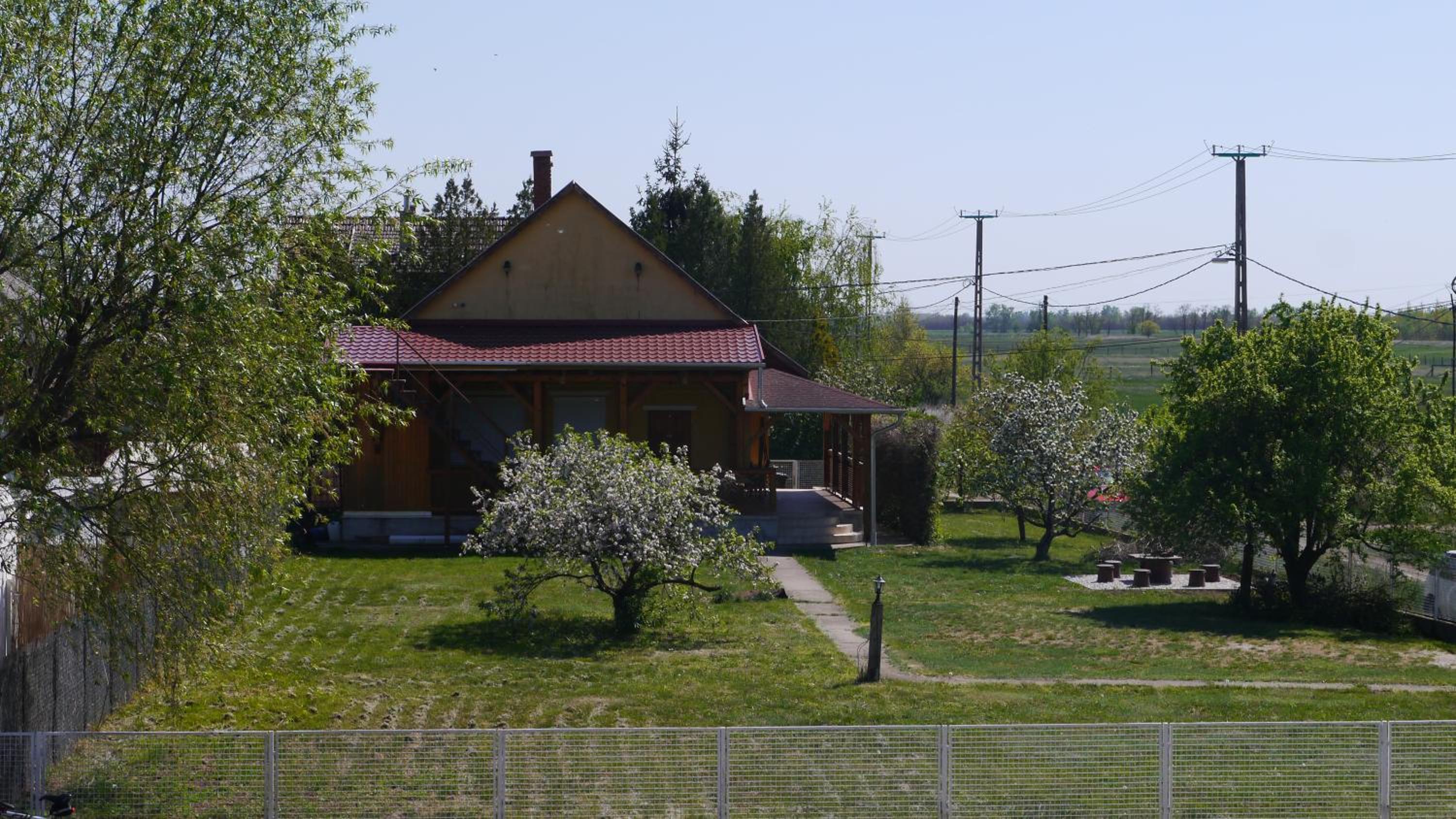 Photo 11