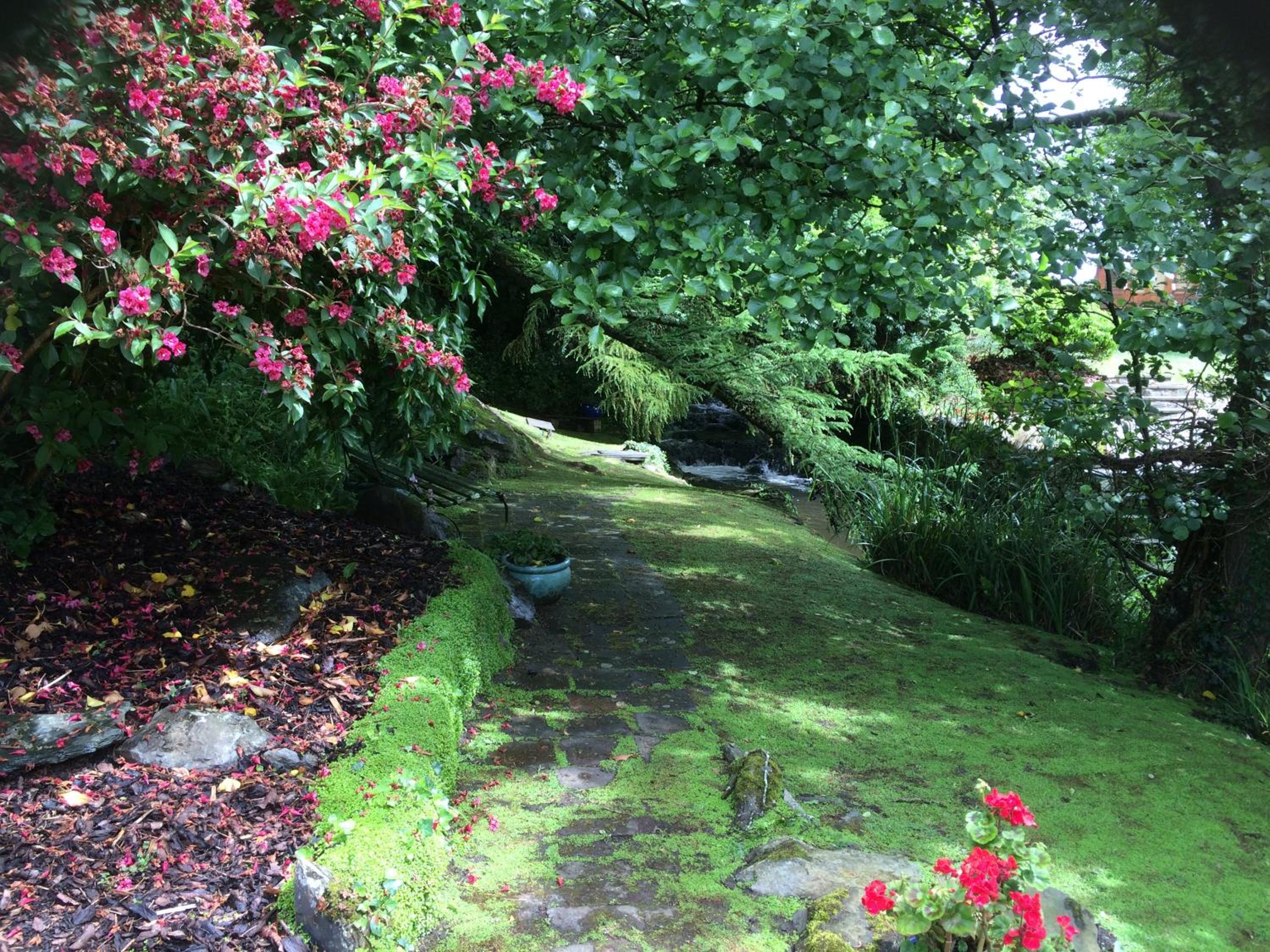 Yr Hen Felin - The Old Mill B&B
