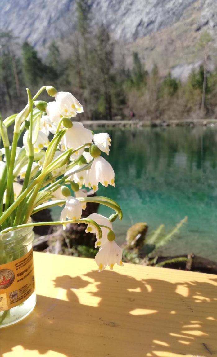 Ferienlounge Bluntausee