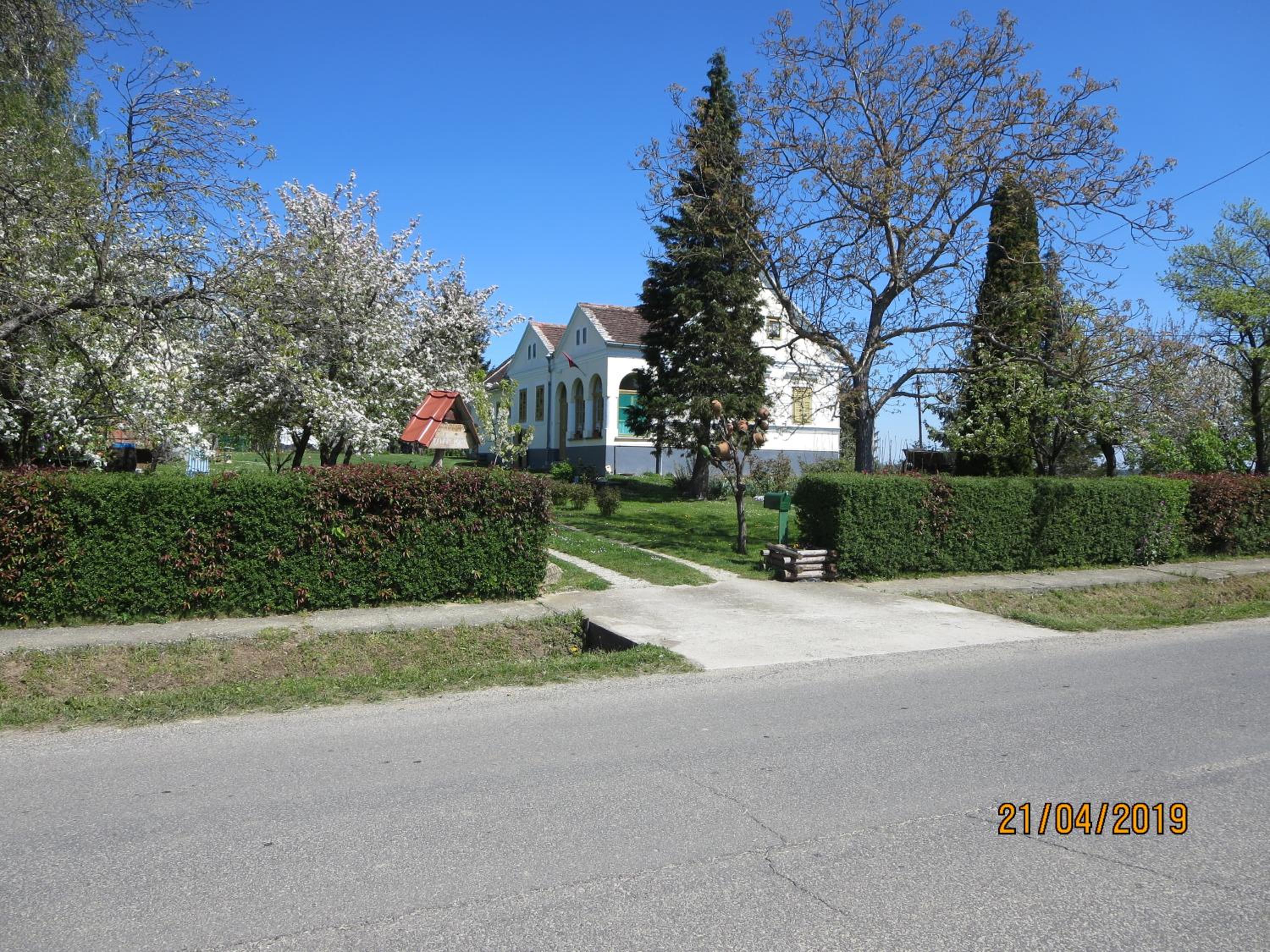 Photo 13