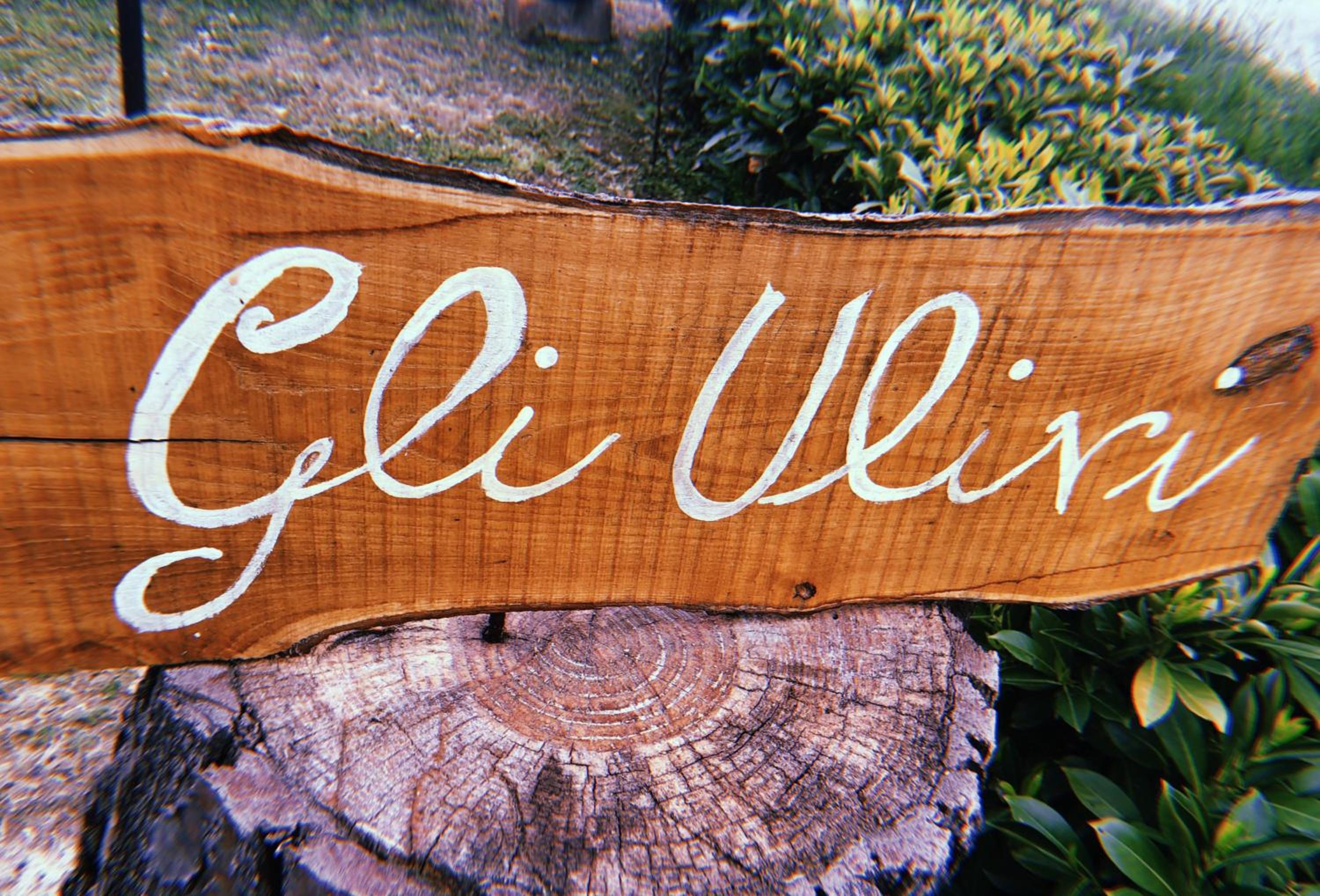 Gli Ulivi
