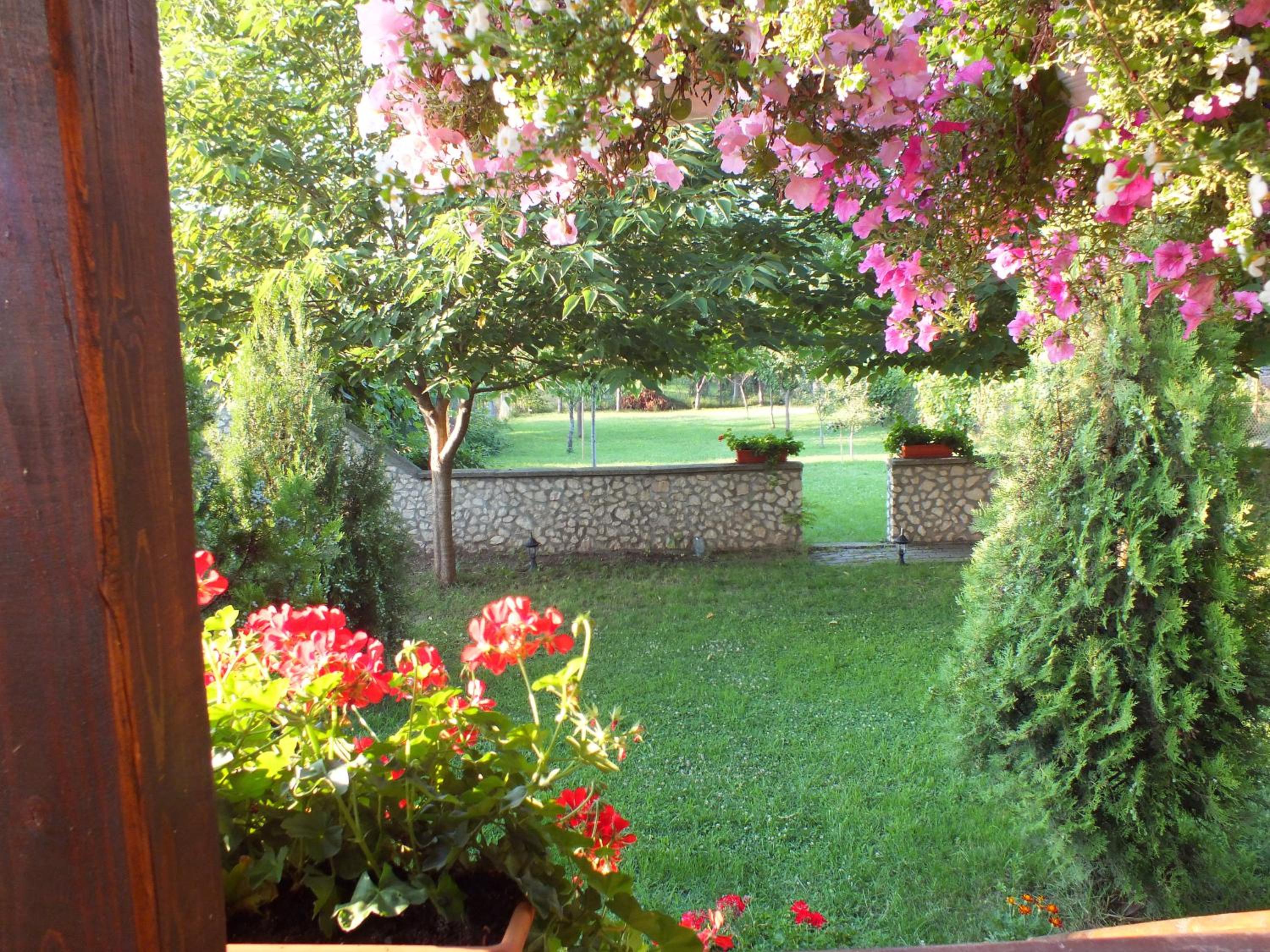 Photo 17