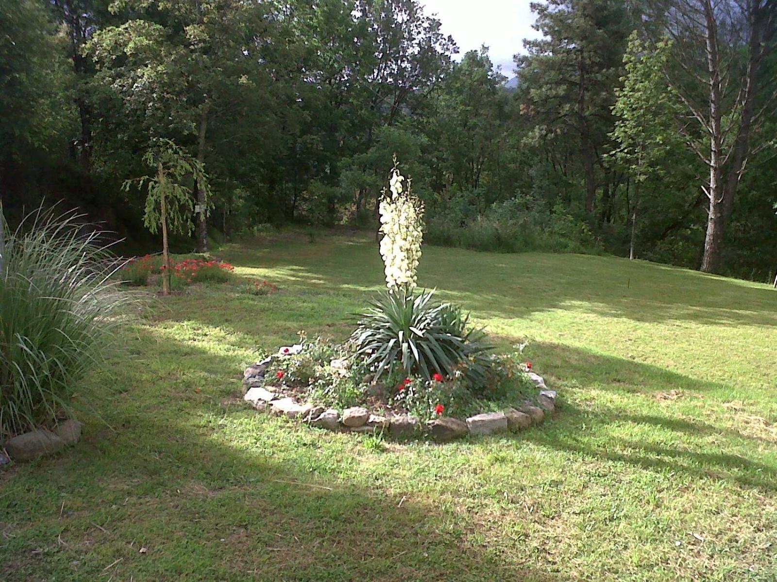 B&B Oasi Verde