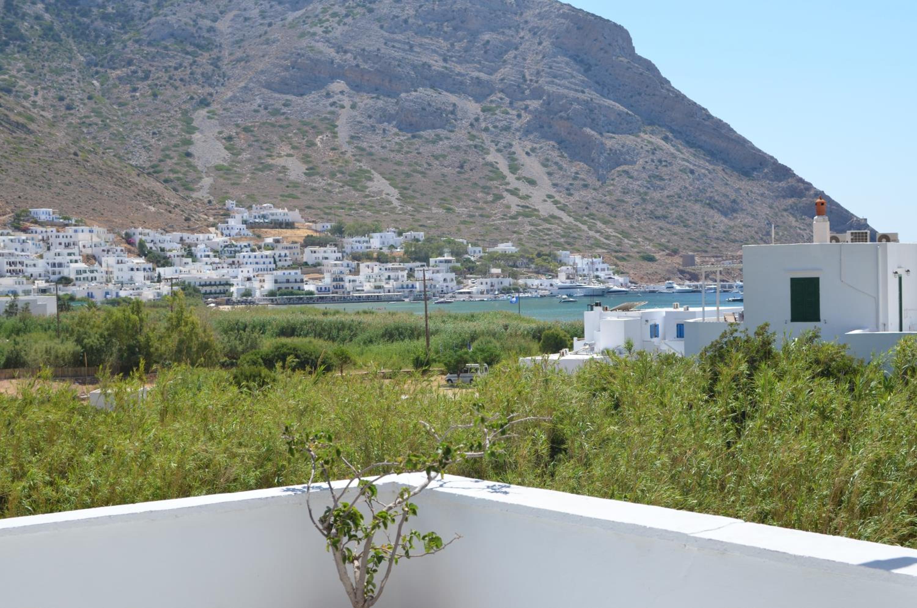 Oasis