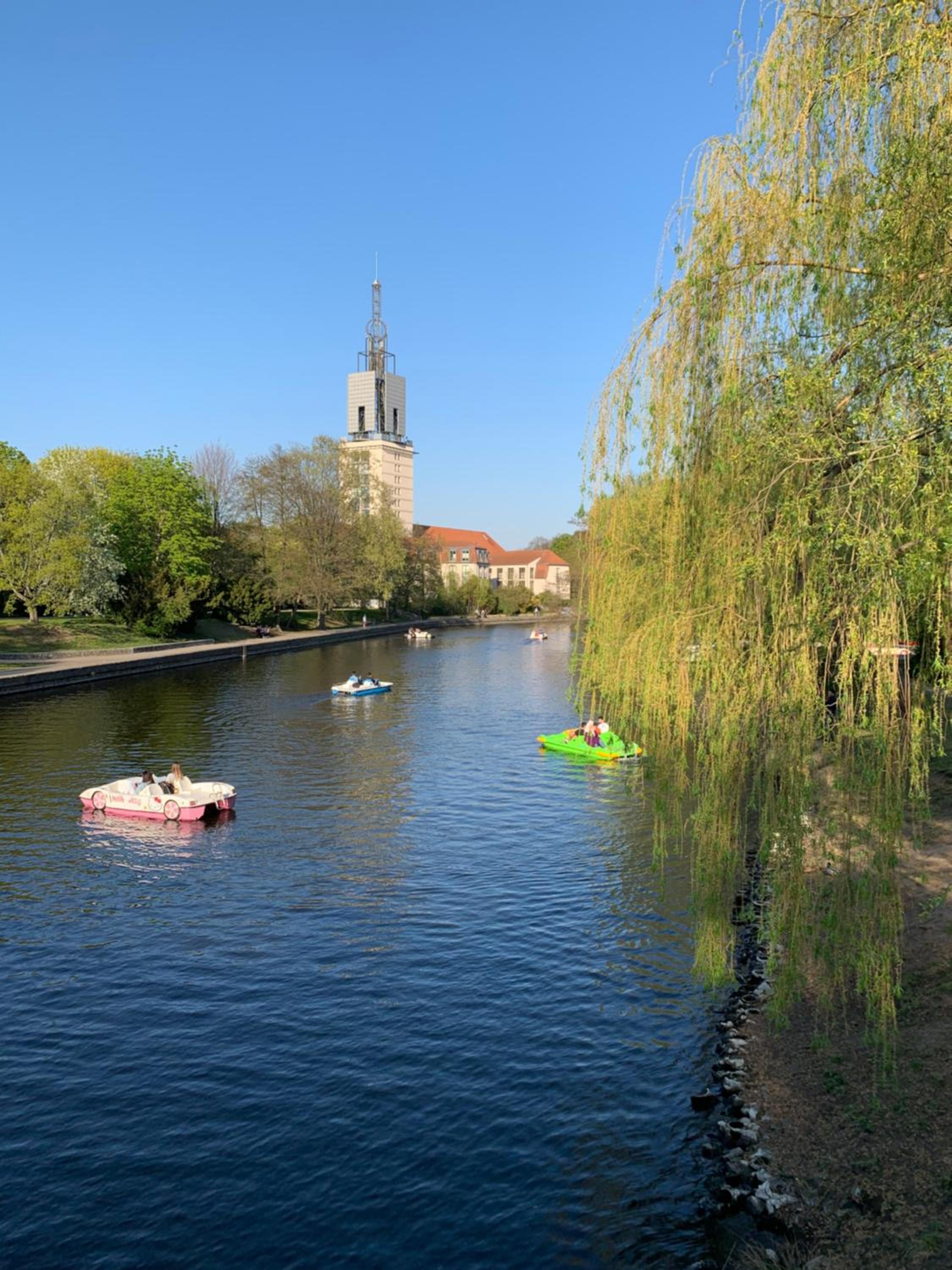 Photo 21