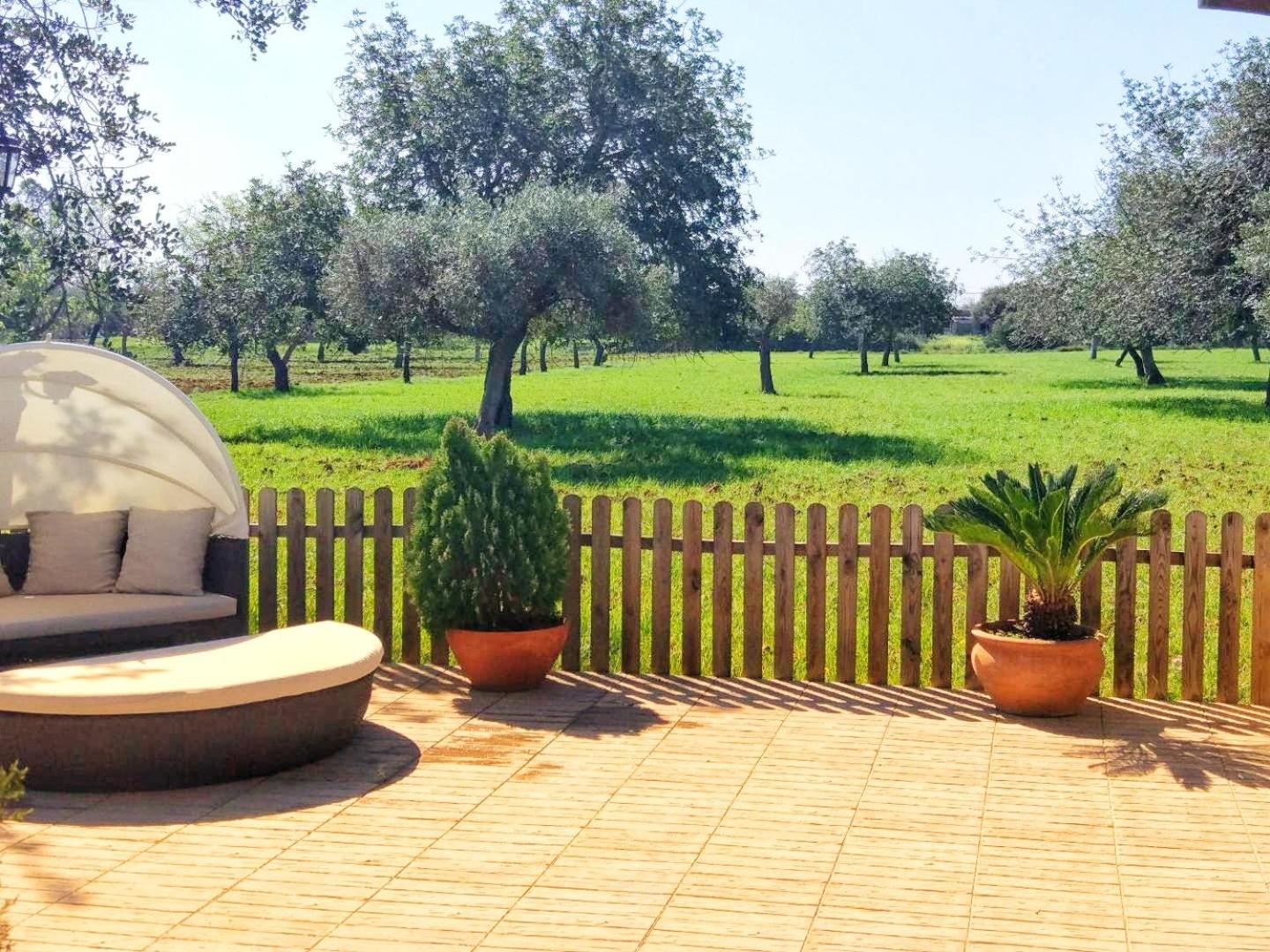 Agroturismo Sa Vinya d'en Palerm