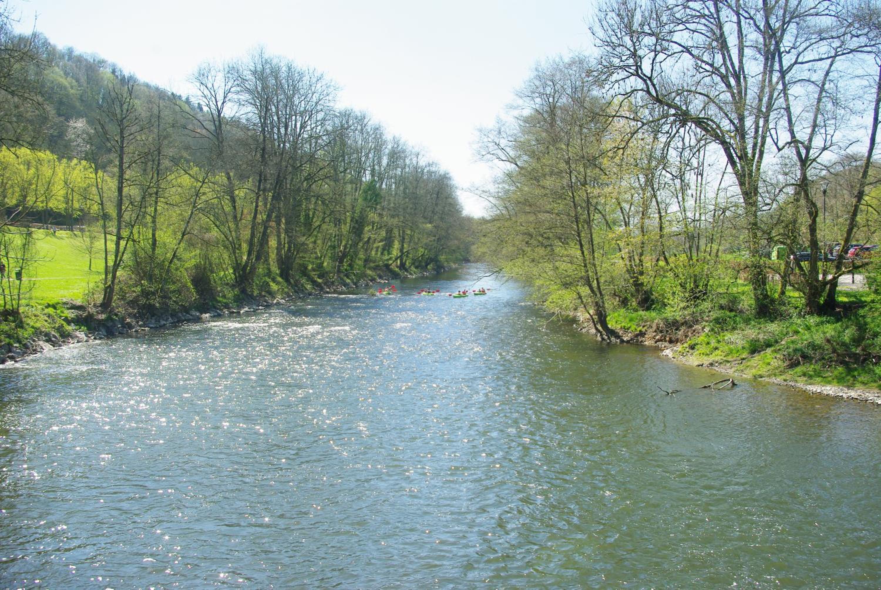 Photo 46