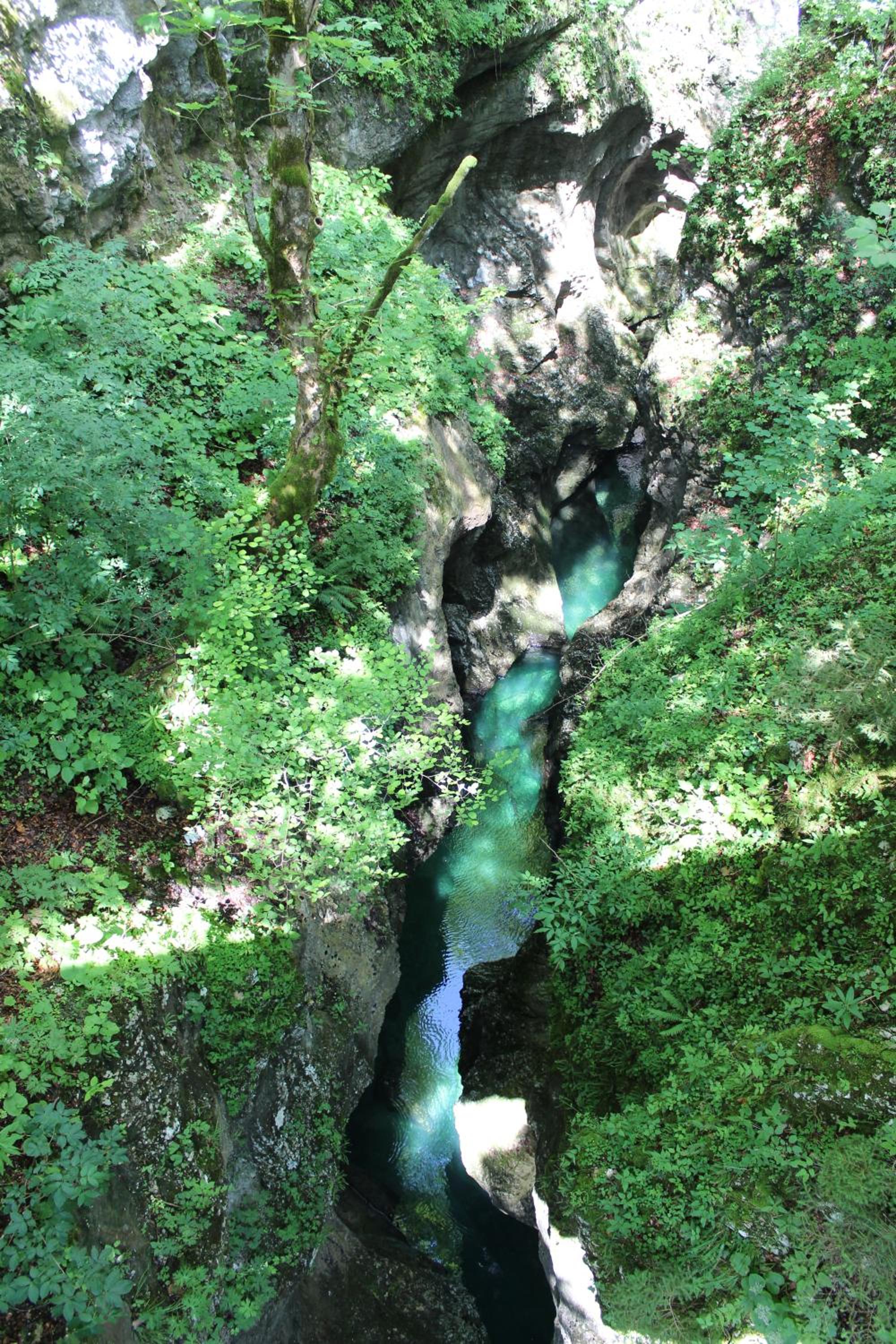 Photo 15