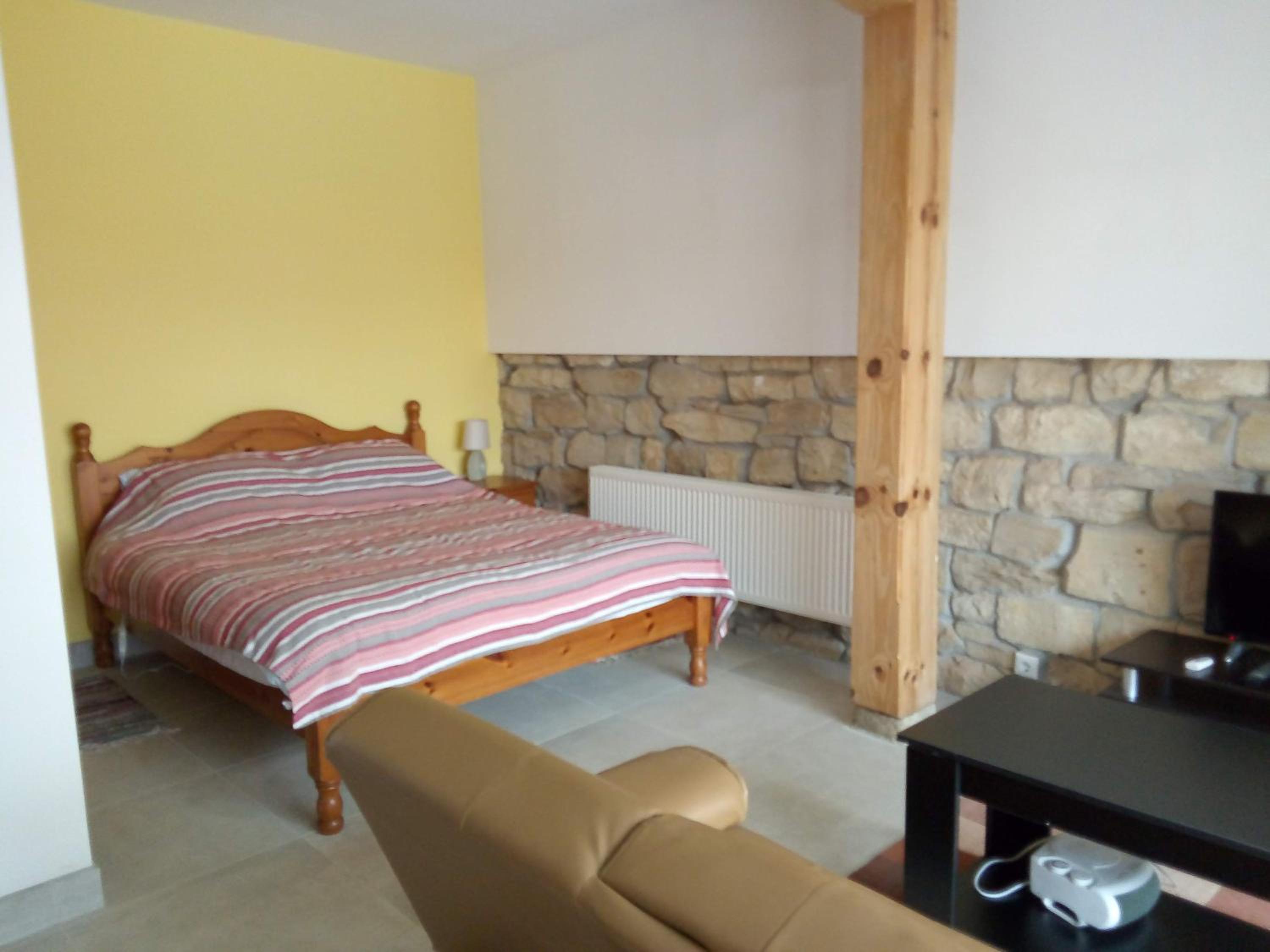 Studio Apartment in Palamartsa view 4