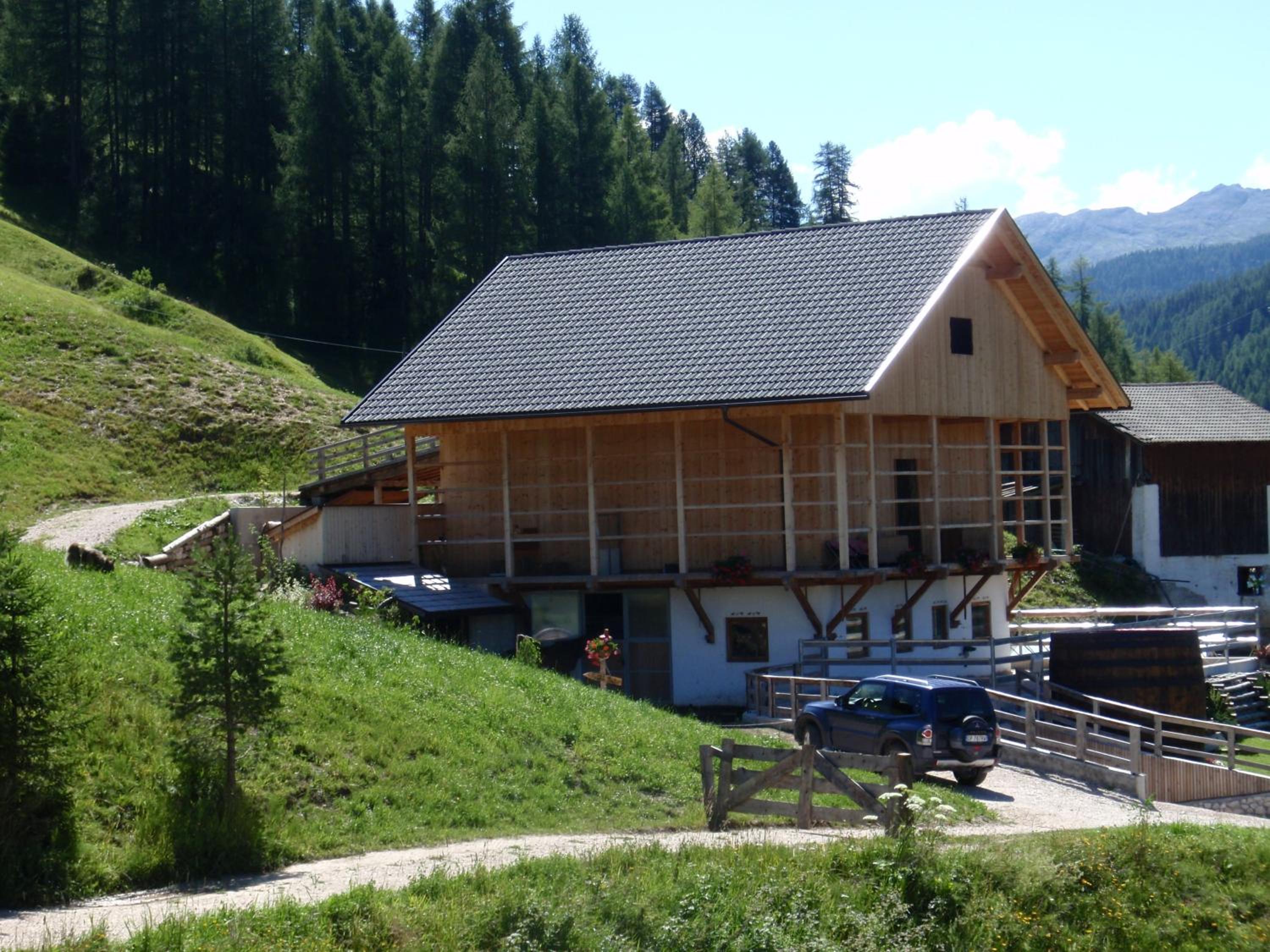 Photo 12