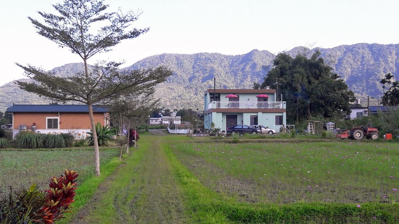 Photo 21