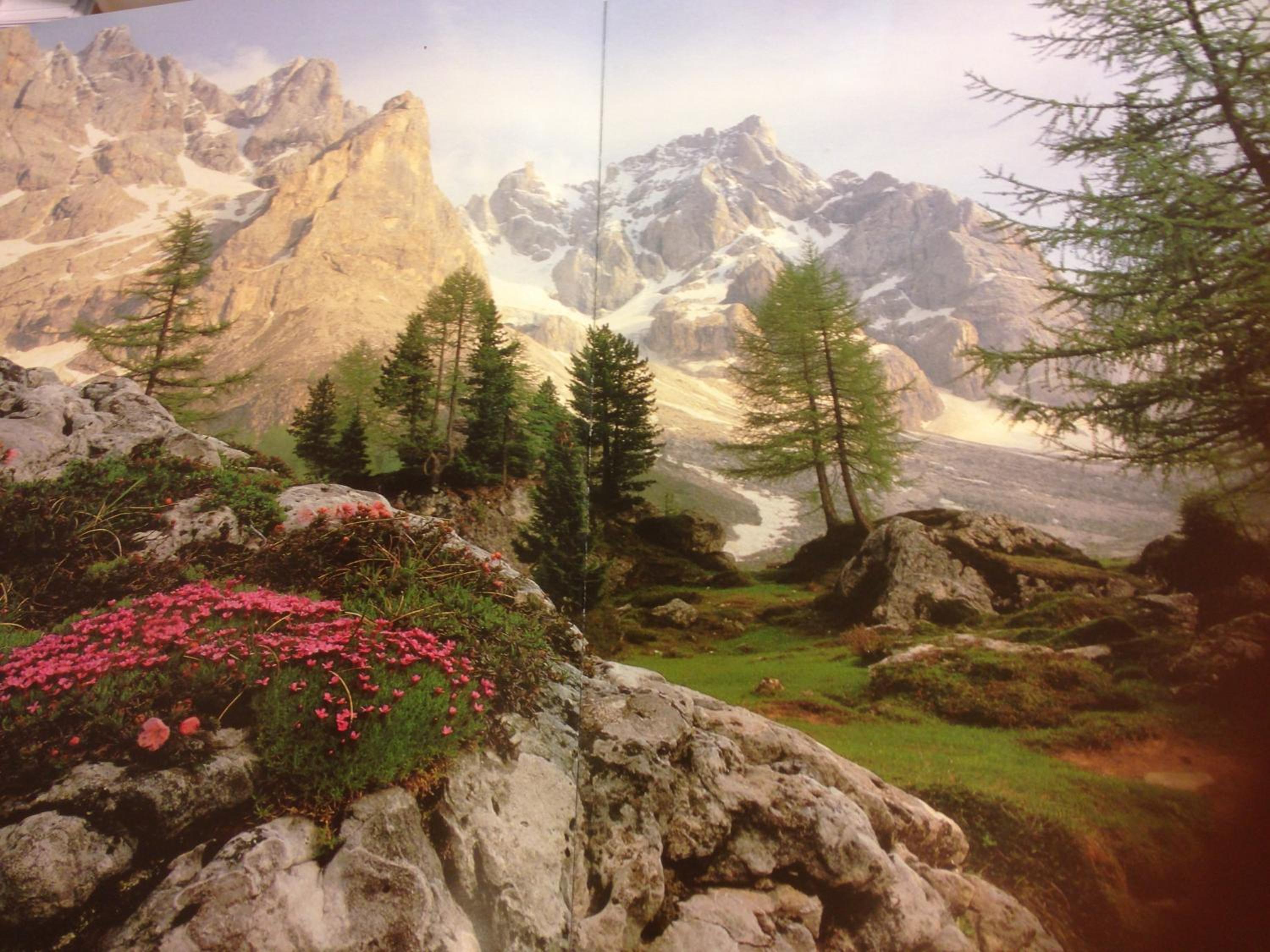 Photo 30