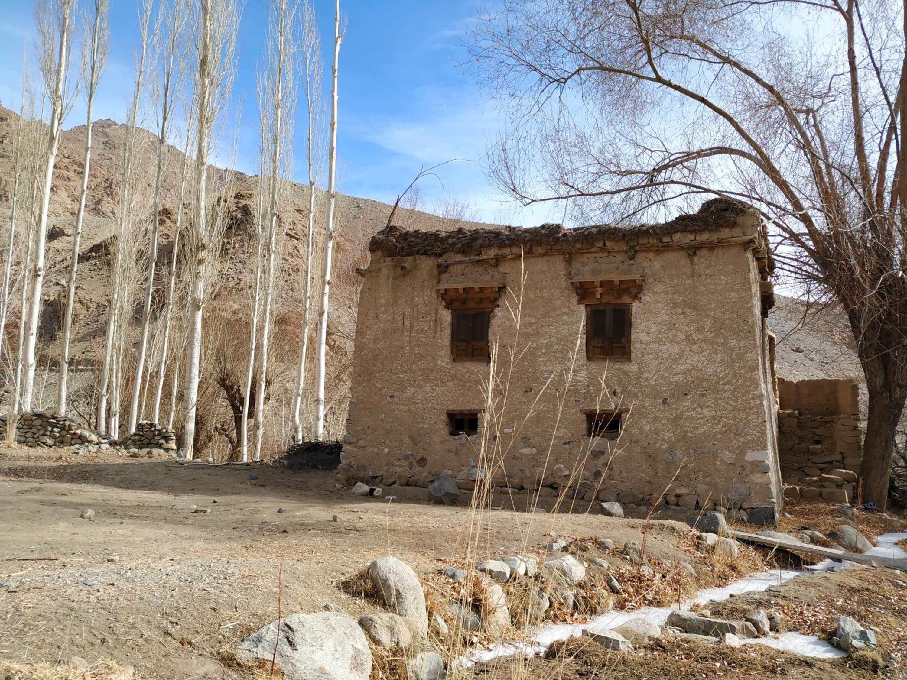 Photo 20