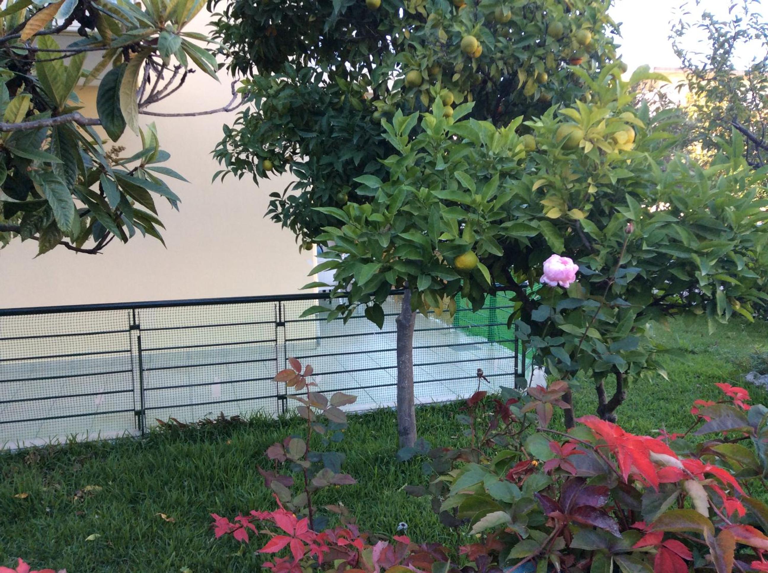 Photo 48