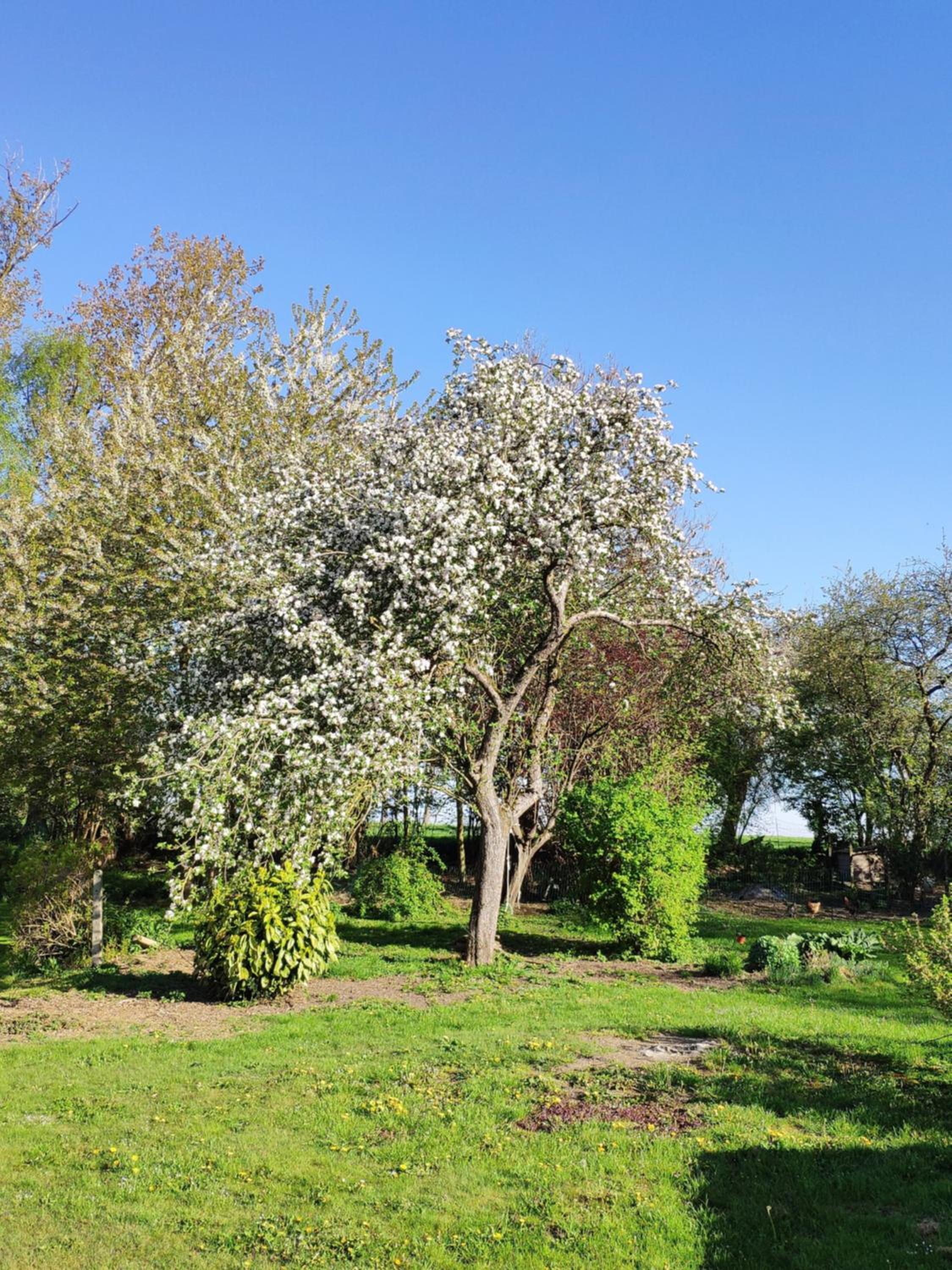 Gîte Aische-en-Refail