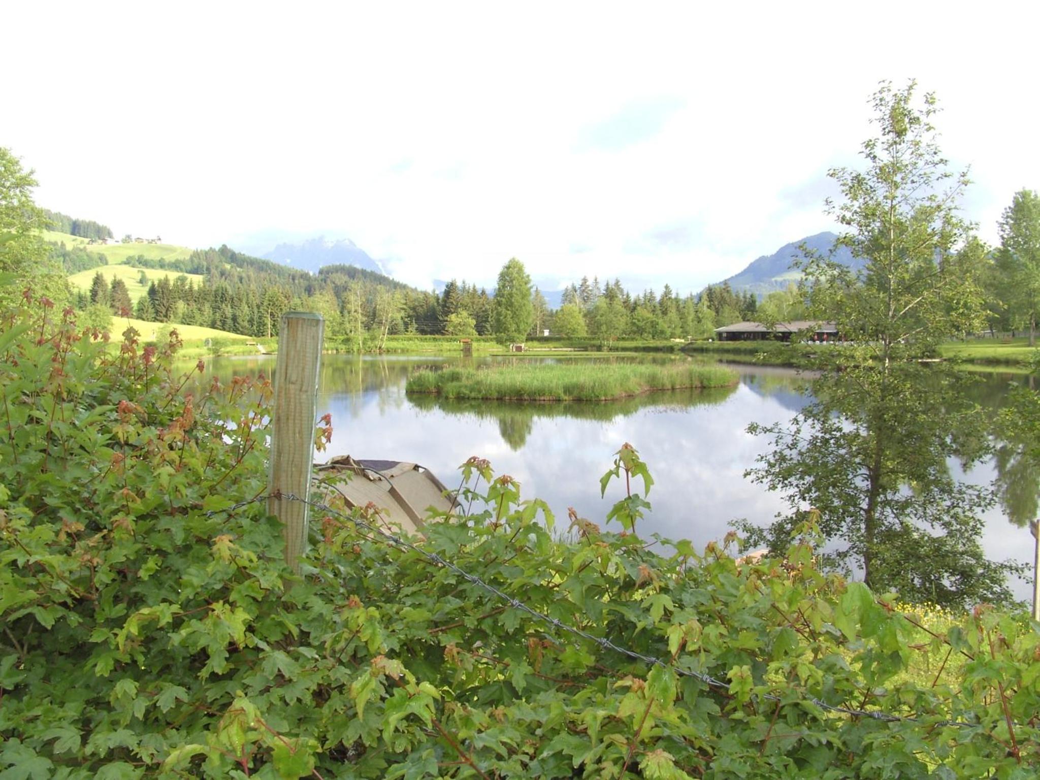 Photo 27