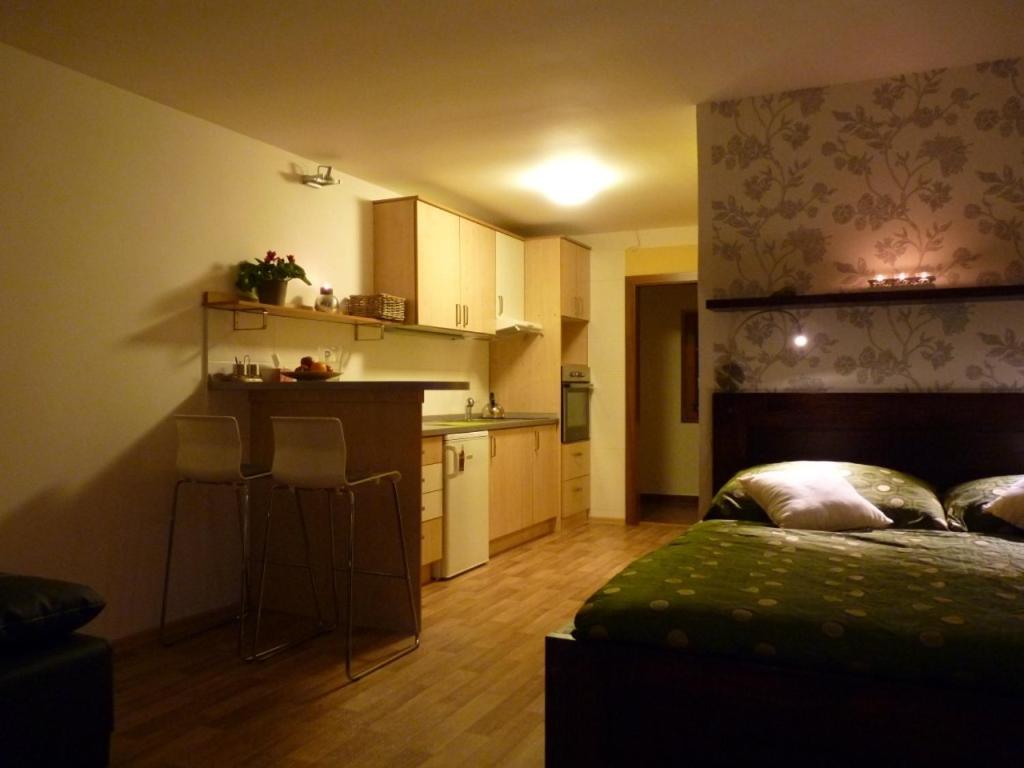 Apartmá Krkonoše view 2