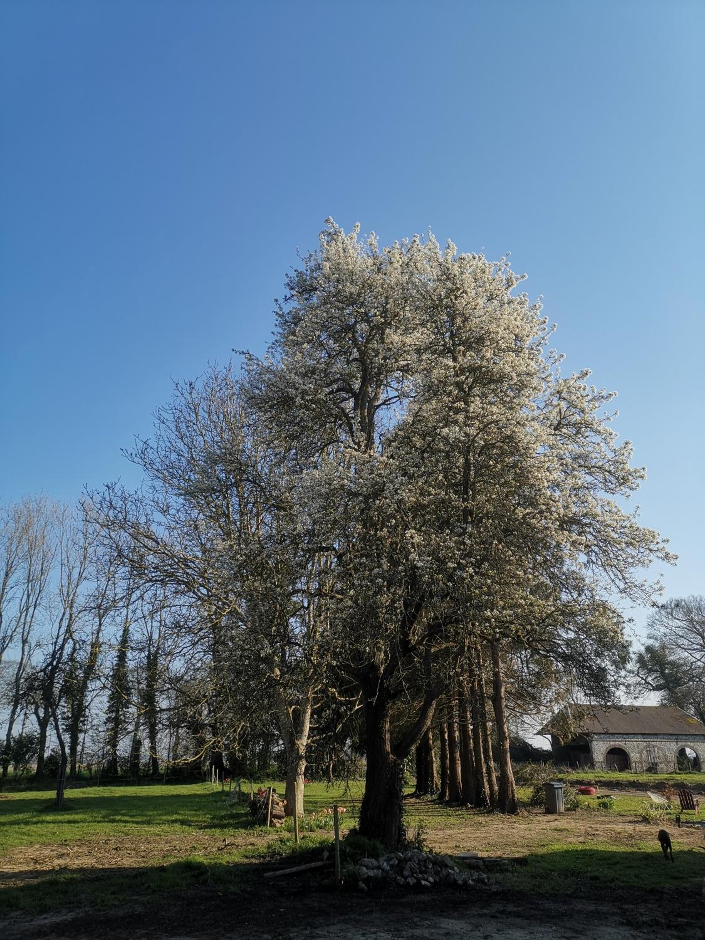 Photo 16