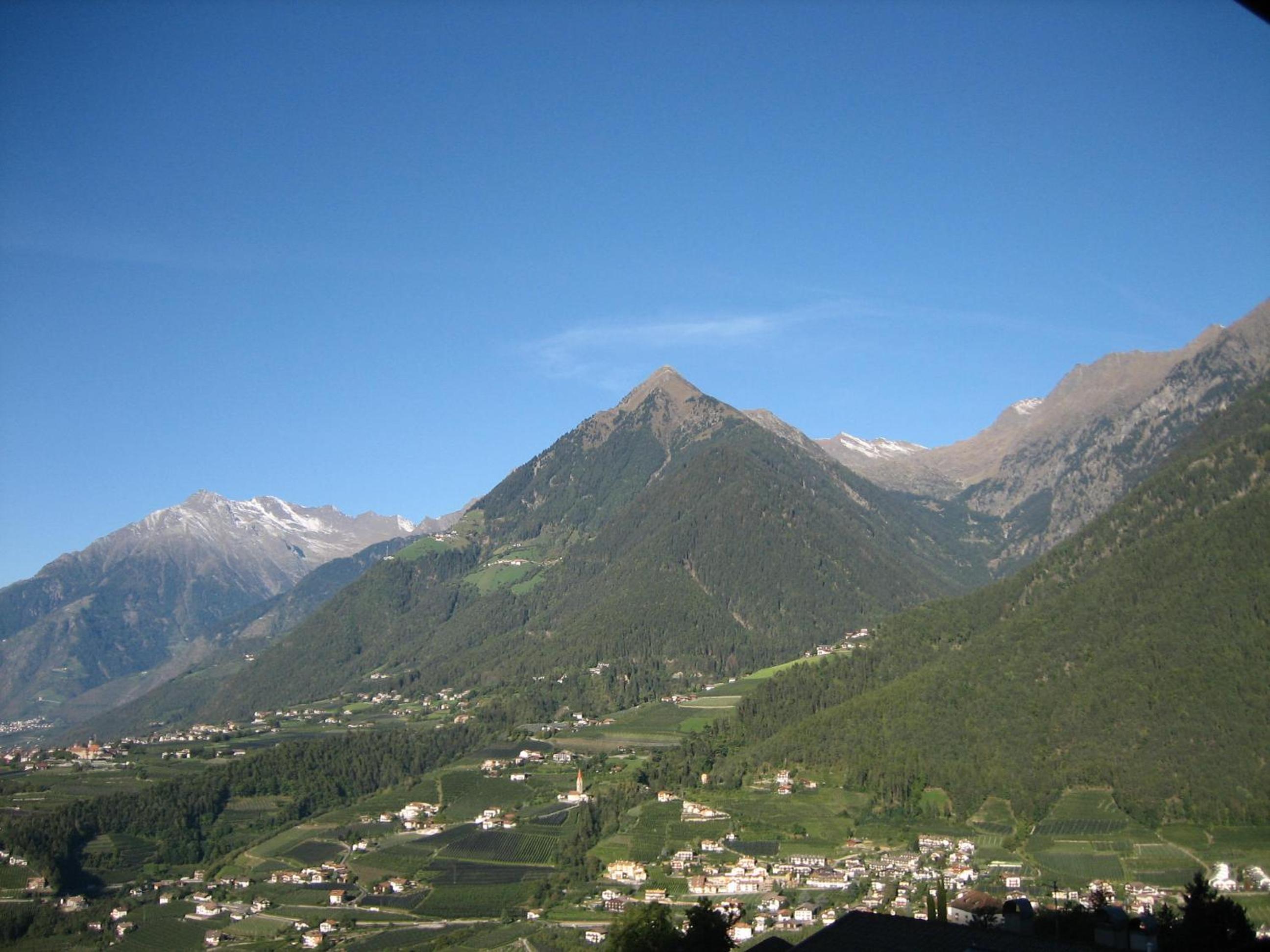 Photo 28