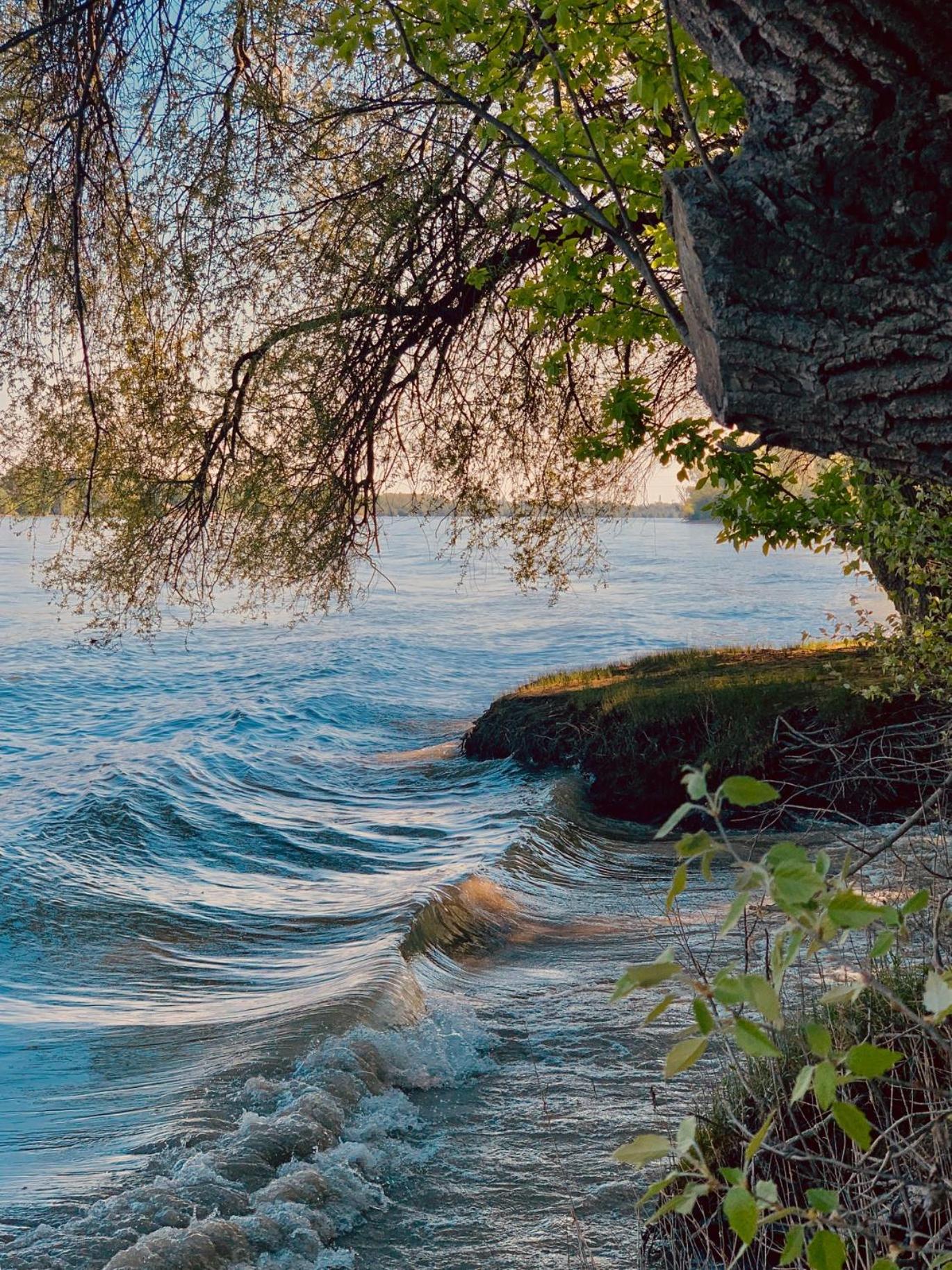 Paulanyi's Island Heart of Woods, Szentendre Island view 4