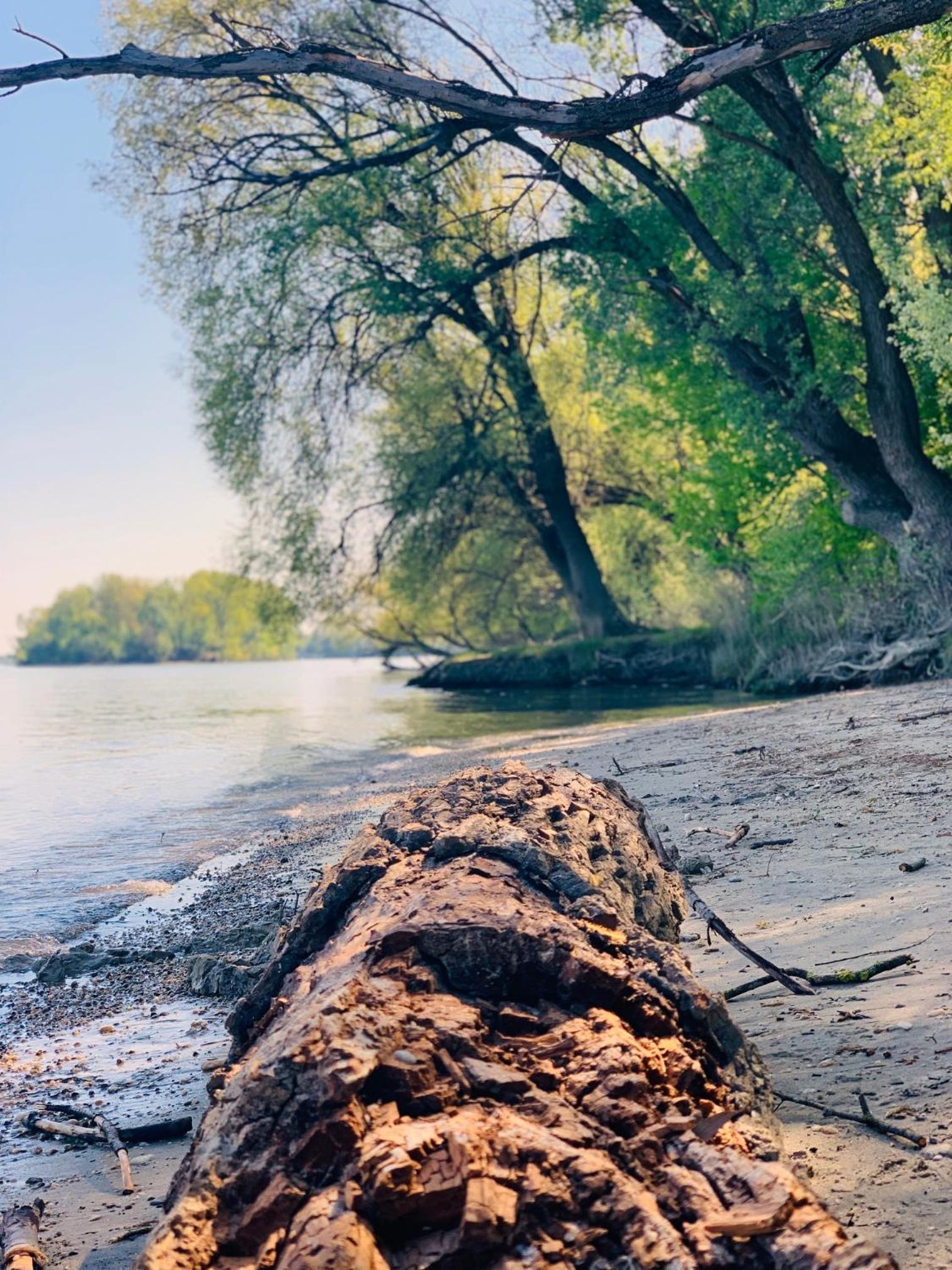 Paulanyi's Island Heart of Woods, Szentendre Island view 5