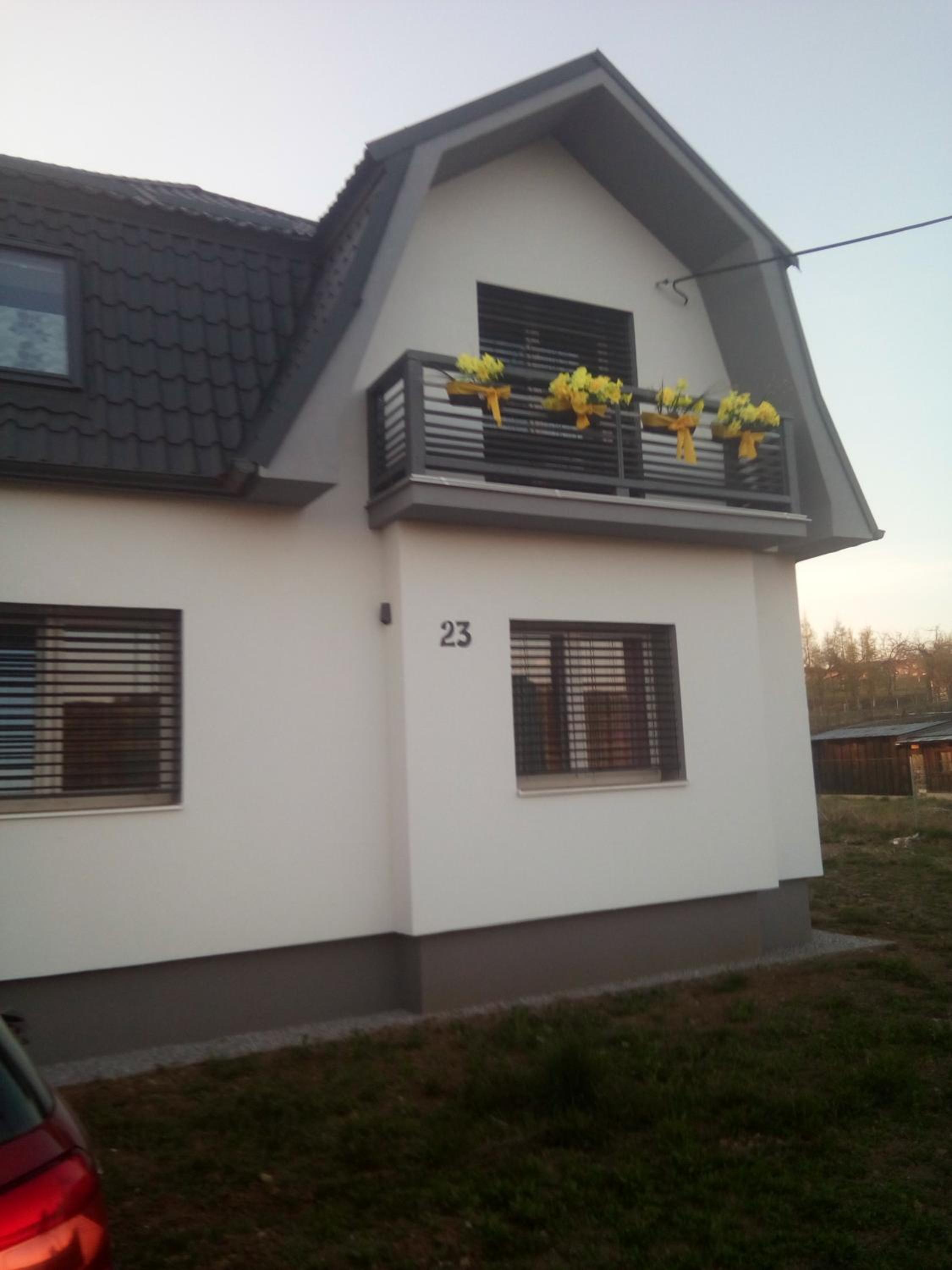 Photo 45