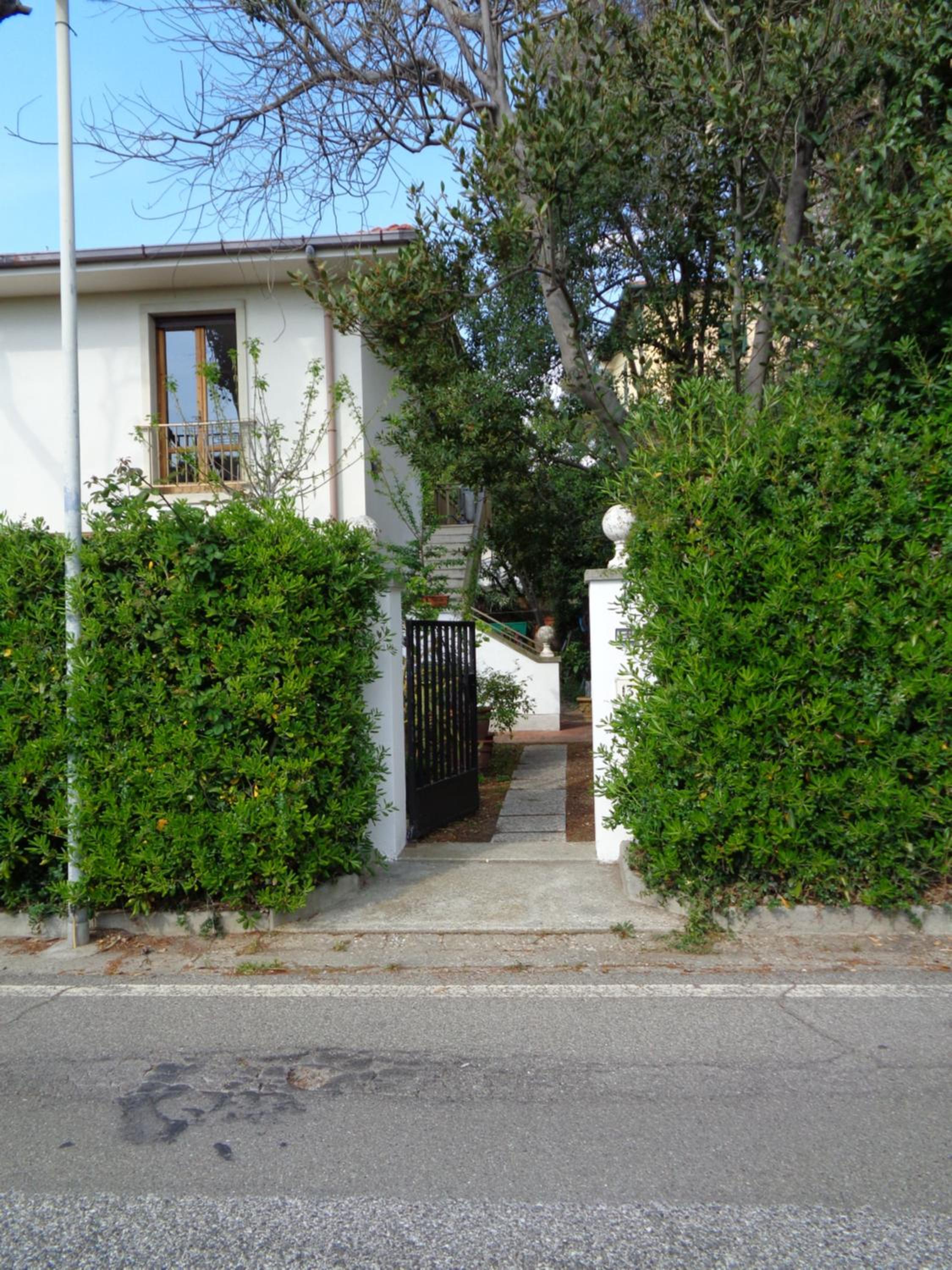 Photo 50