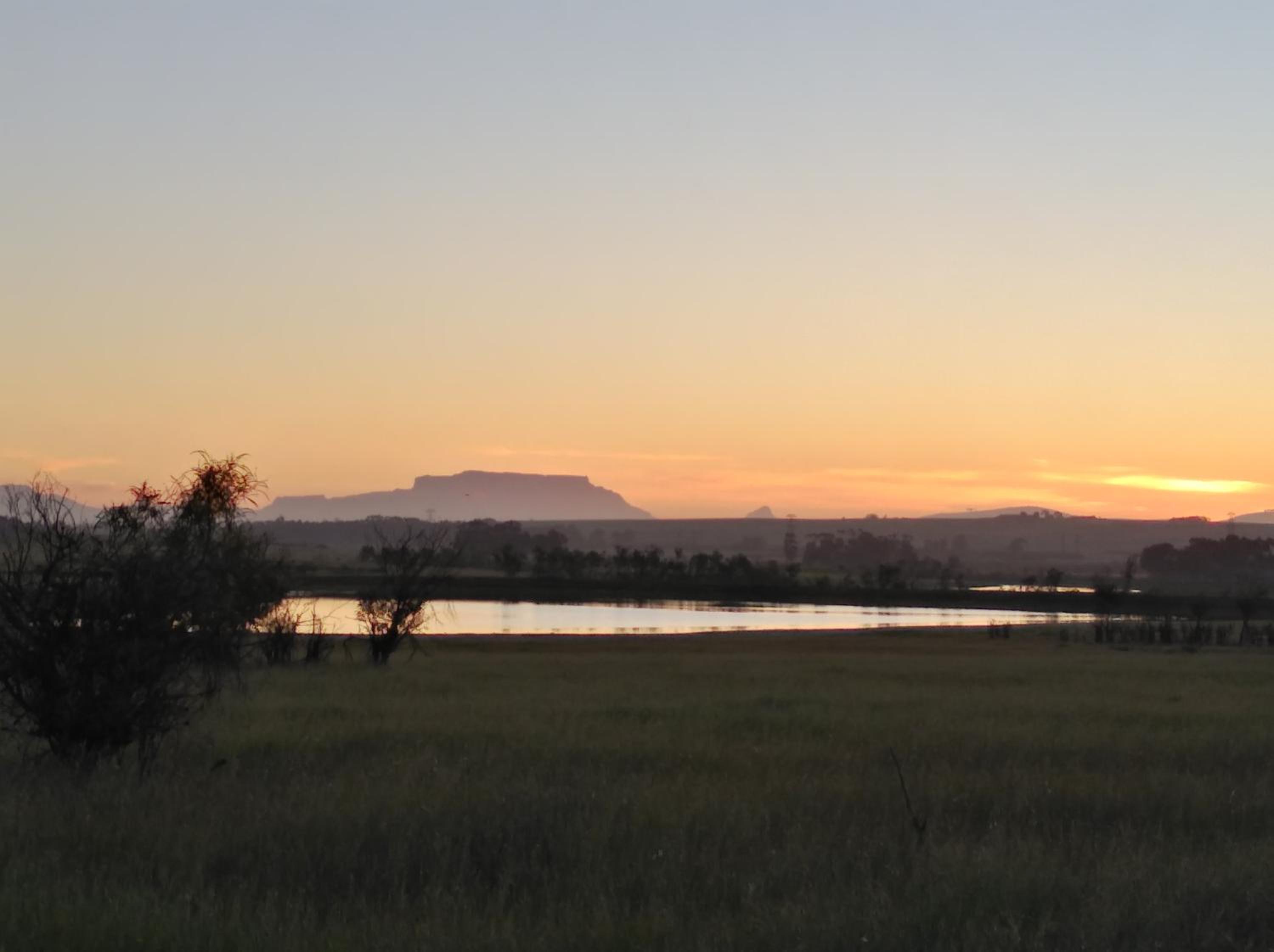 Wild Clover Cottages
