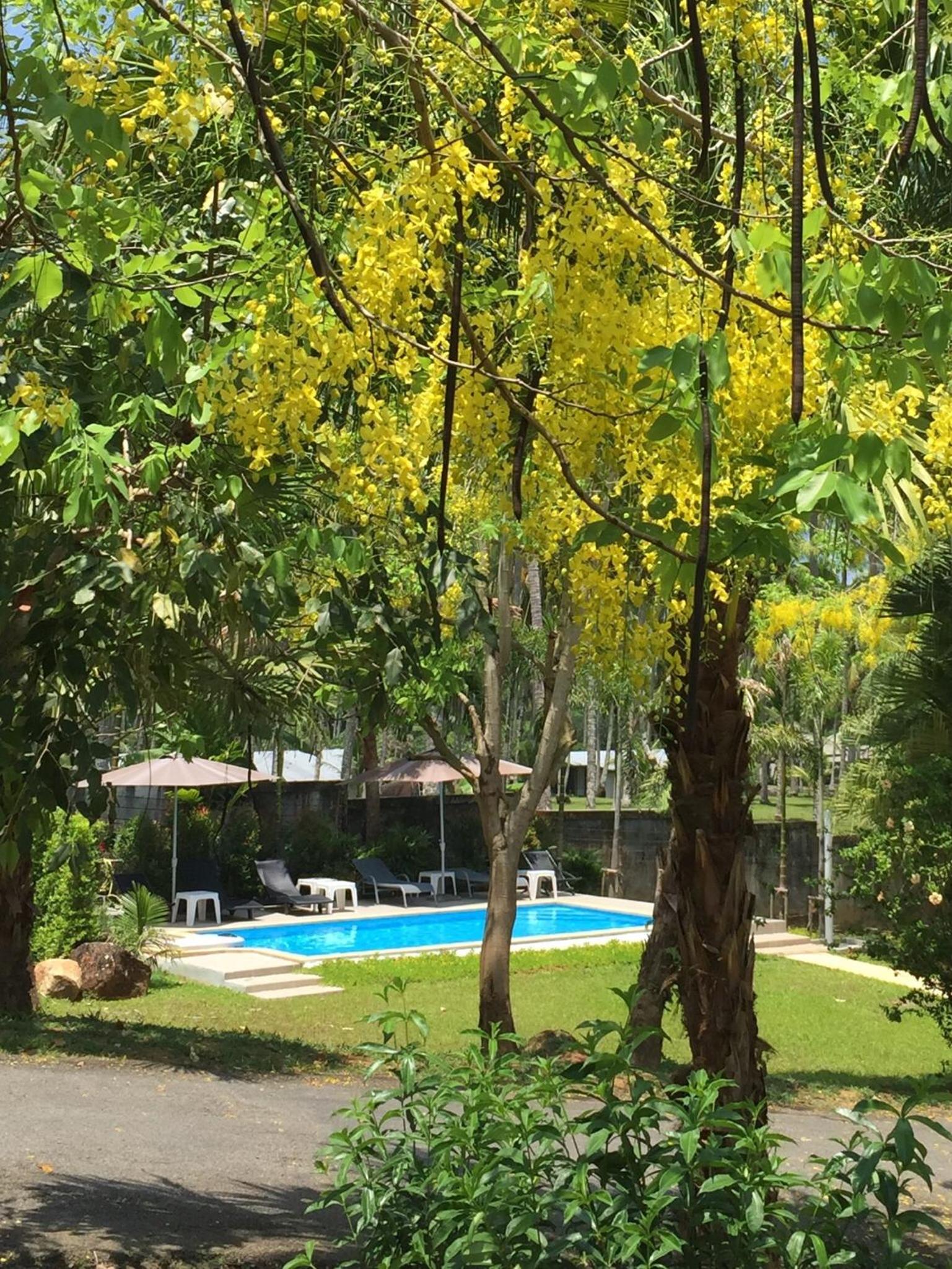 Khaolak Hillside Villa