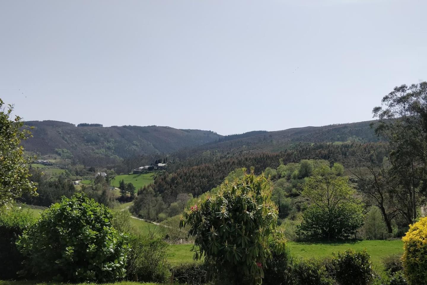 Casa do Gaiteiro - Casa de Aldea en O Pereiro view 5