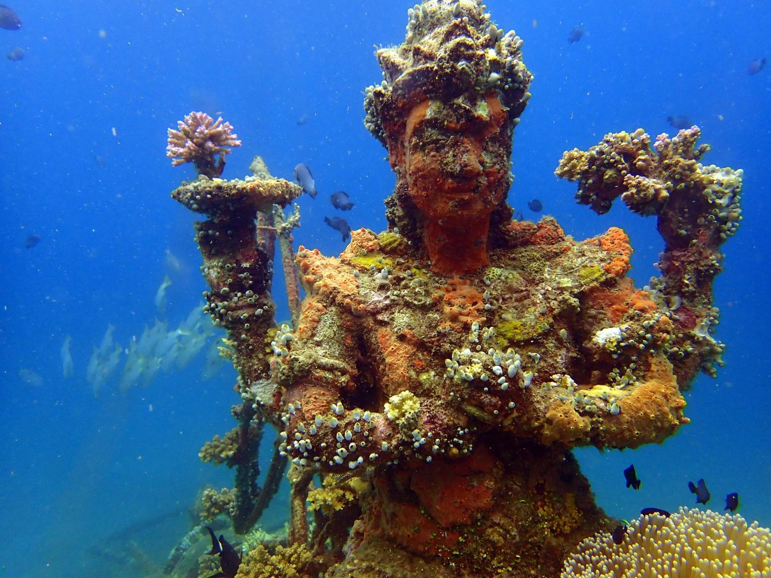 Biorock Homestay & Dive Center Pemuteran