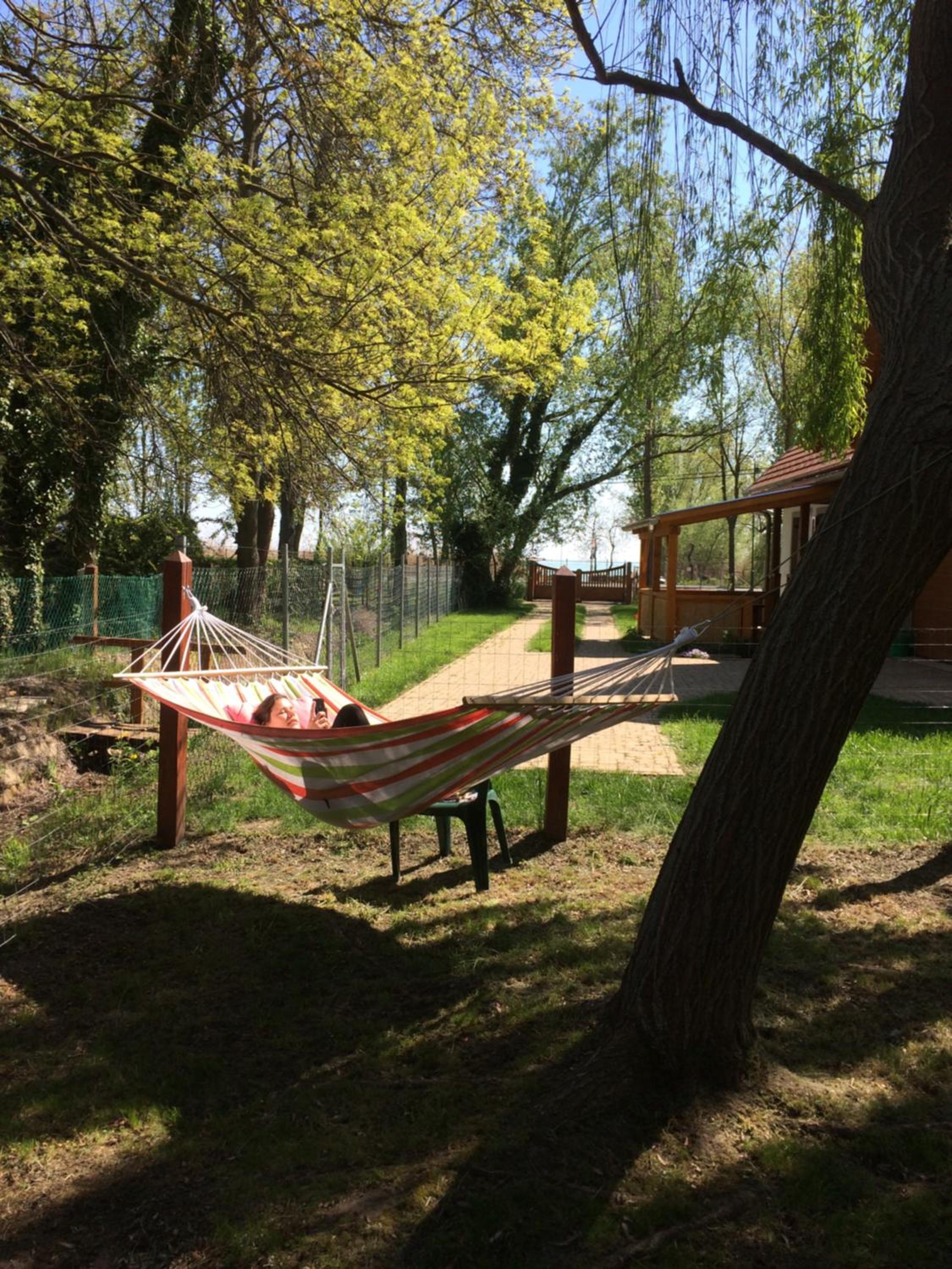 Photo 17