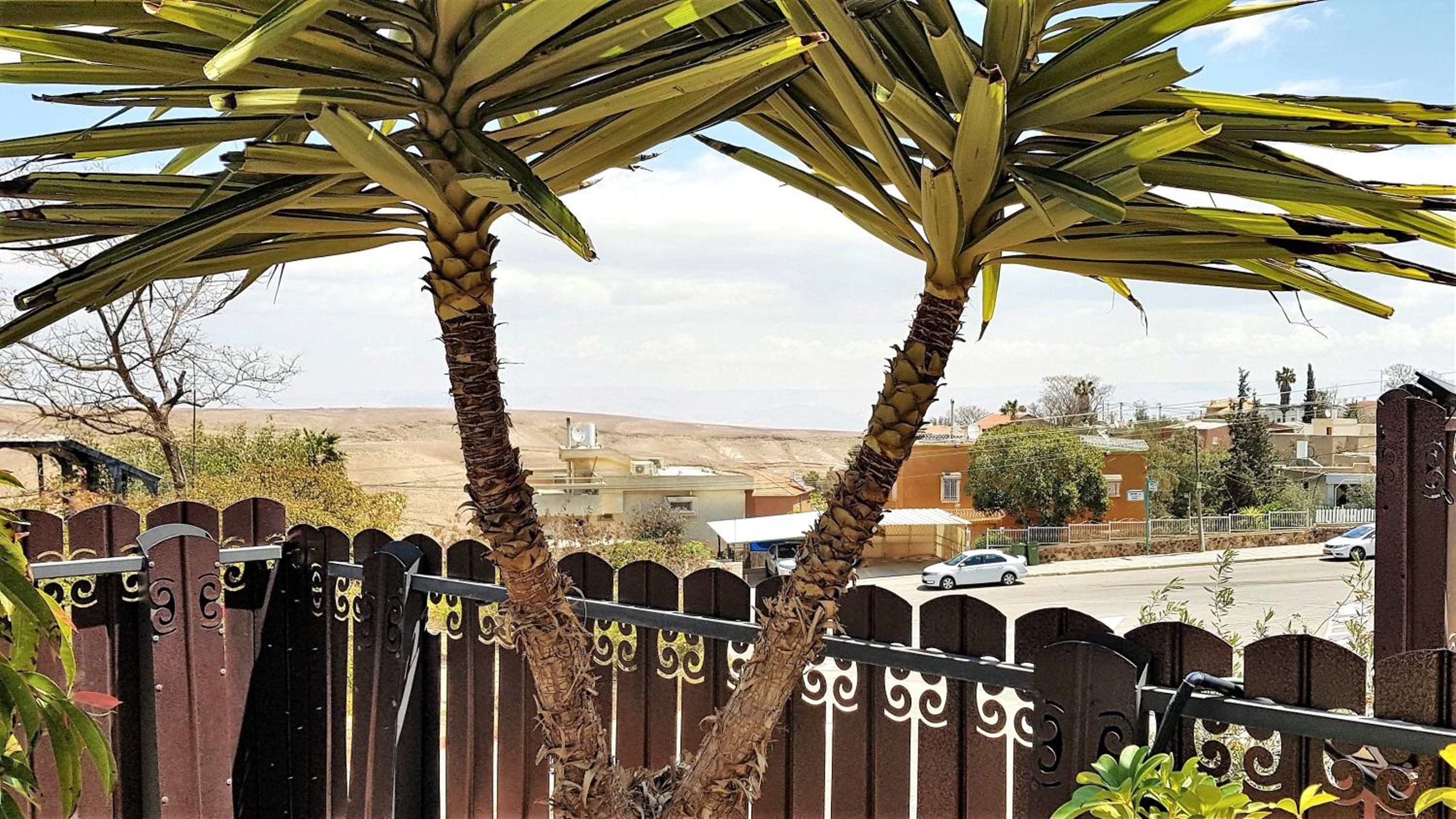 Dead Sea Sun Guest House, photo 34