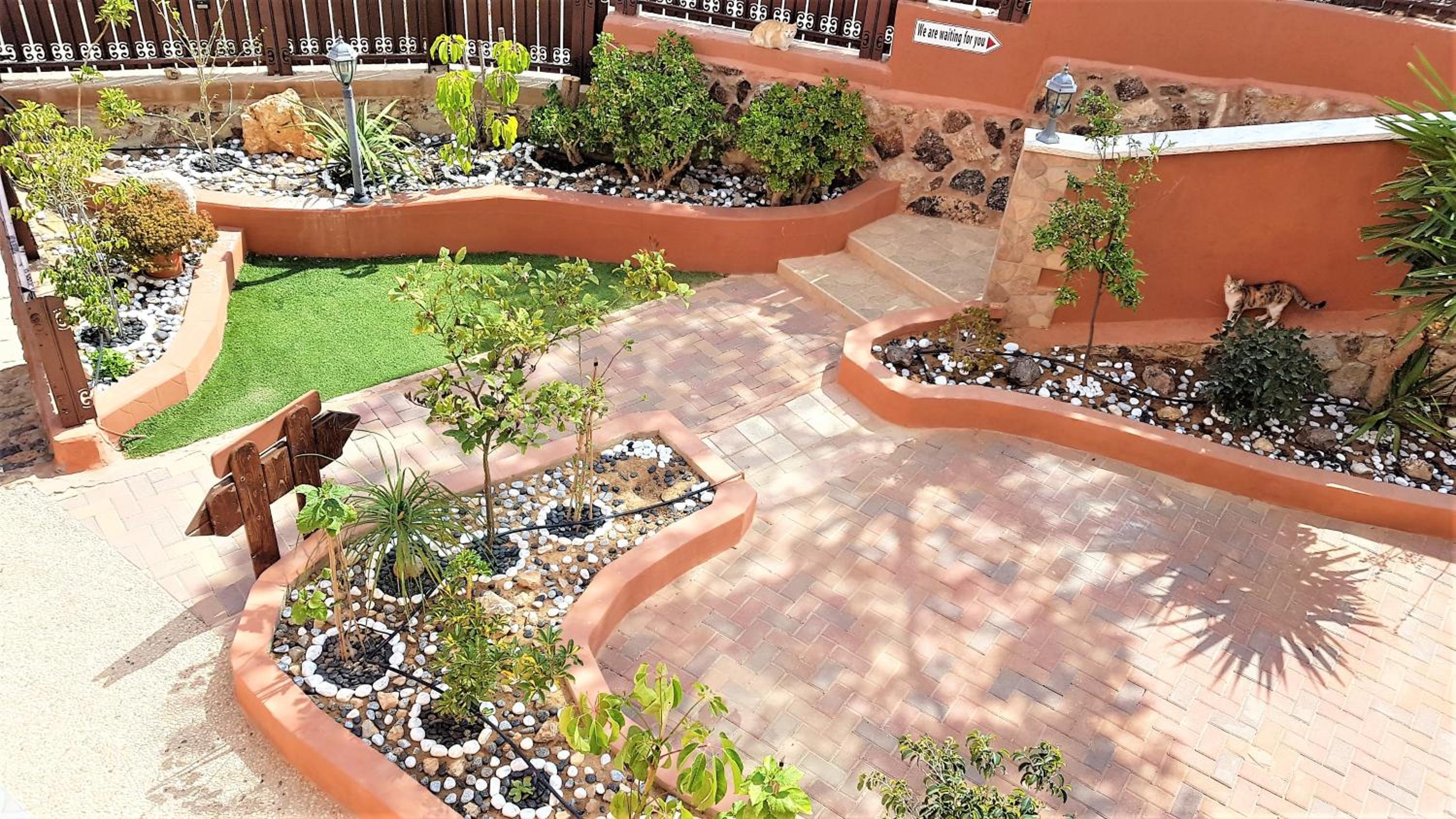 Dead Sea Sun Guest House, photo 39