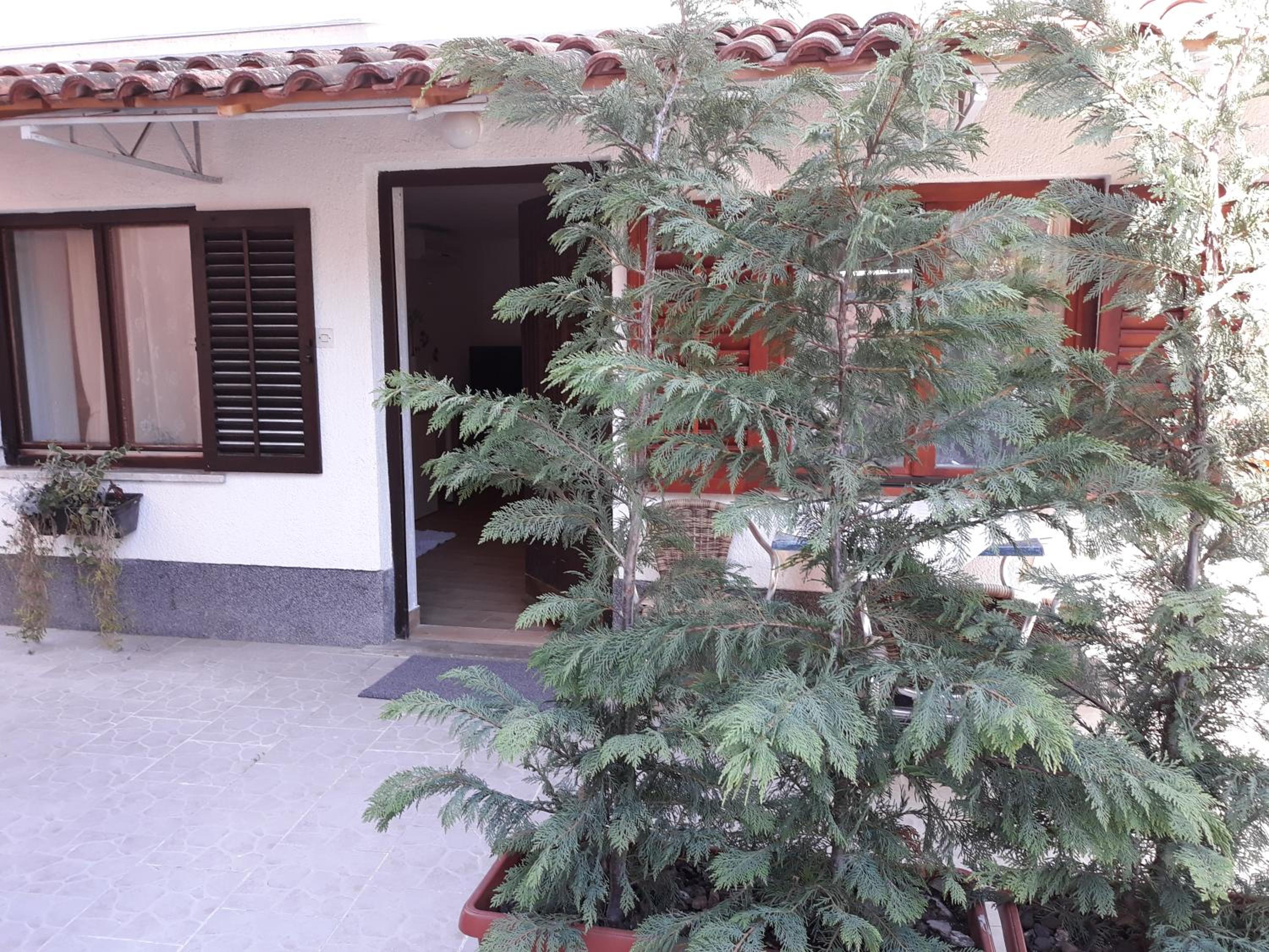 Photo 28