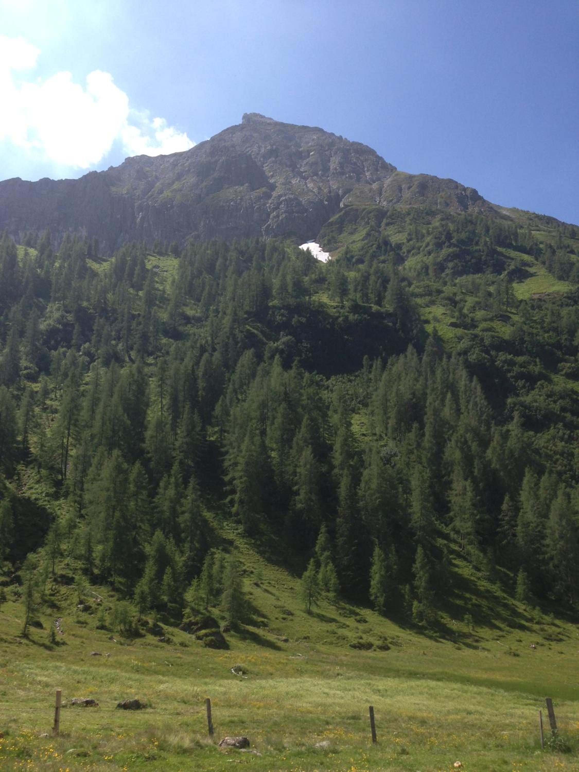 Photo 28
