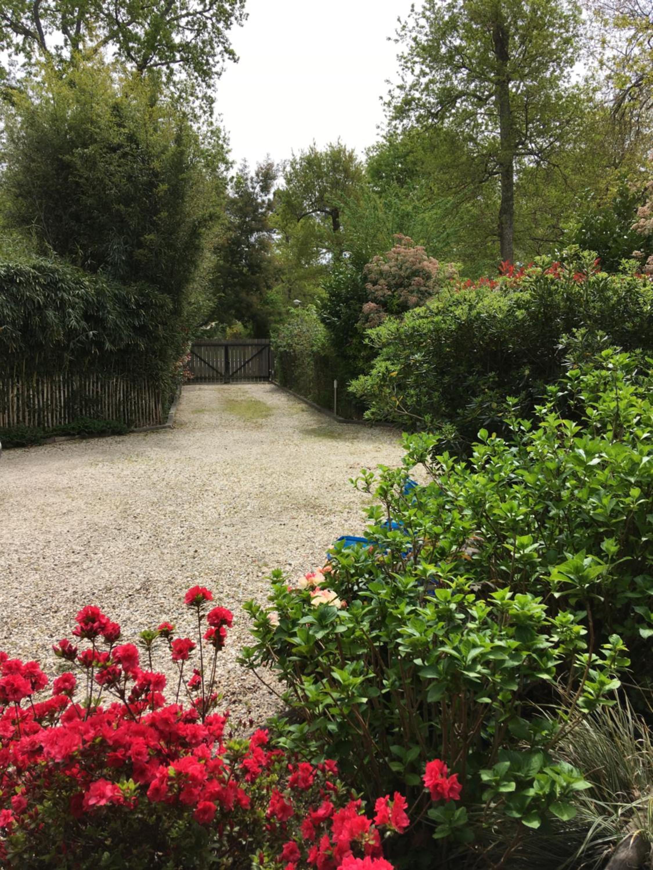 Maison De L'amitié view 3