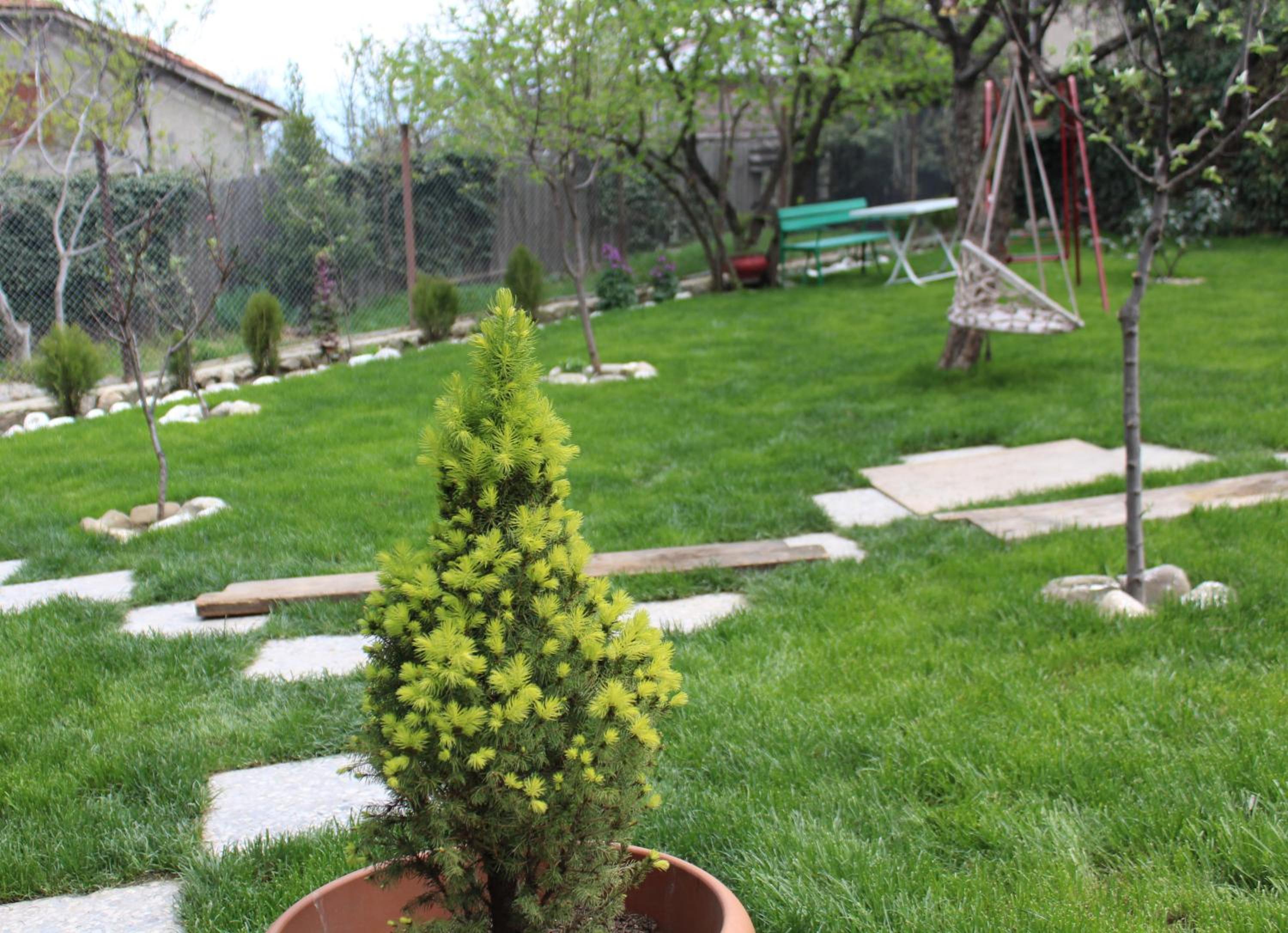 Photo 56