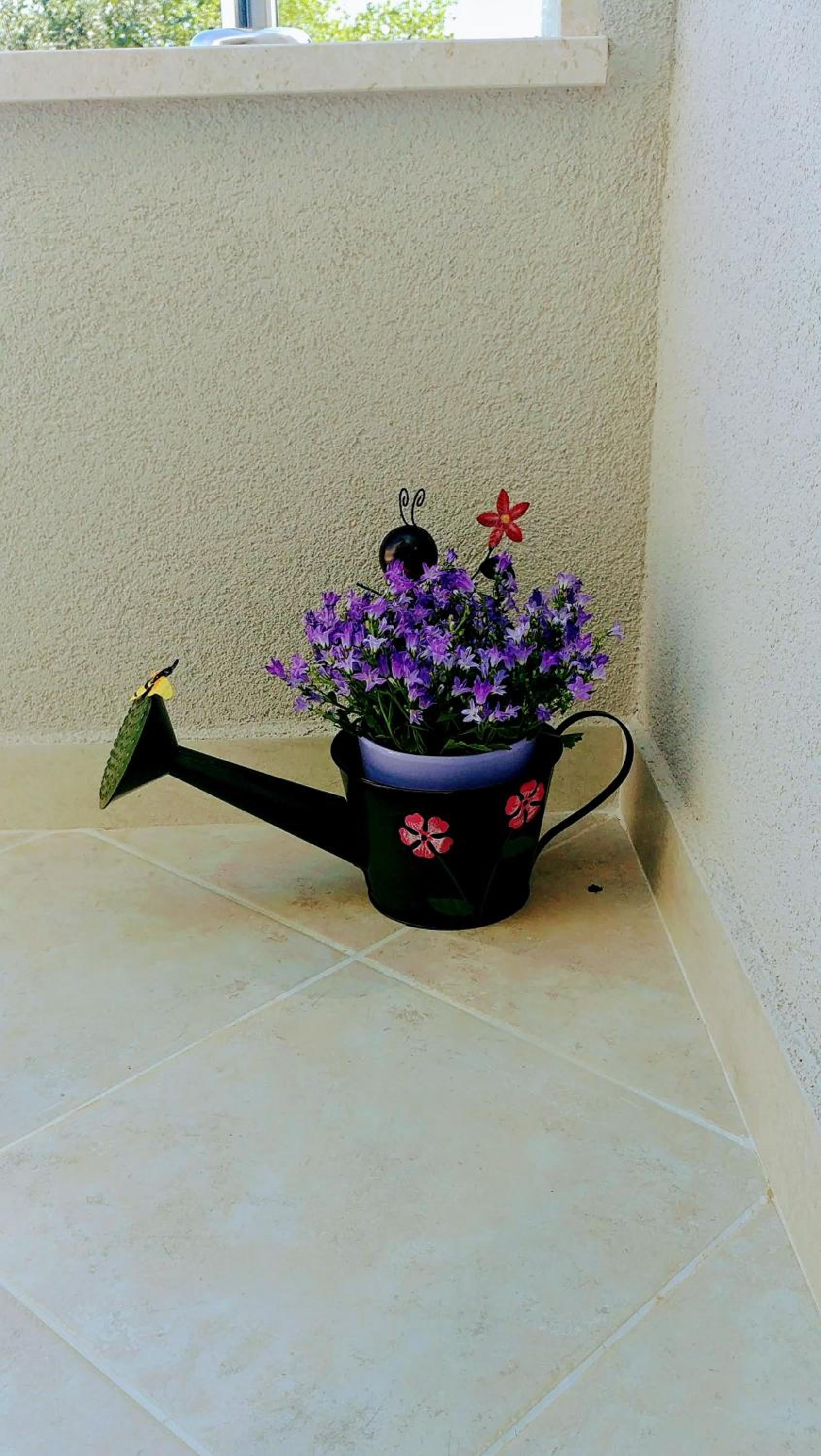 Photo 45