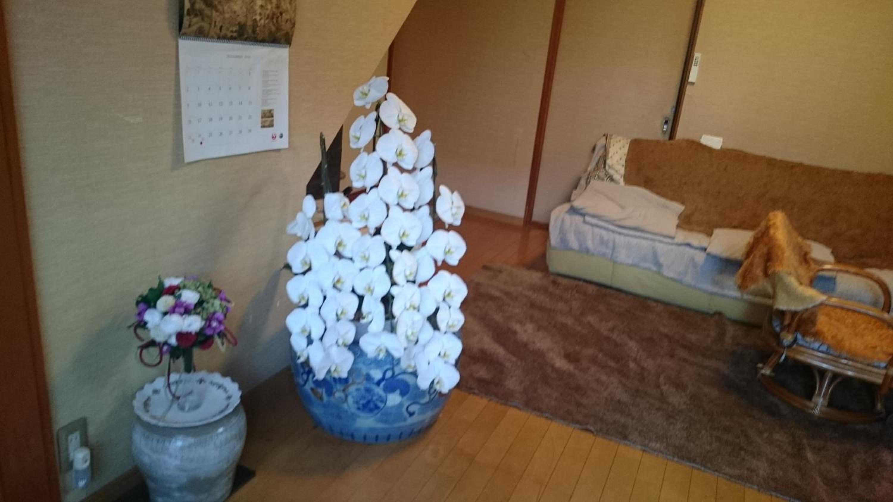 Tsubakiso