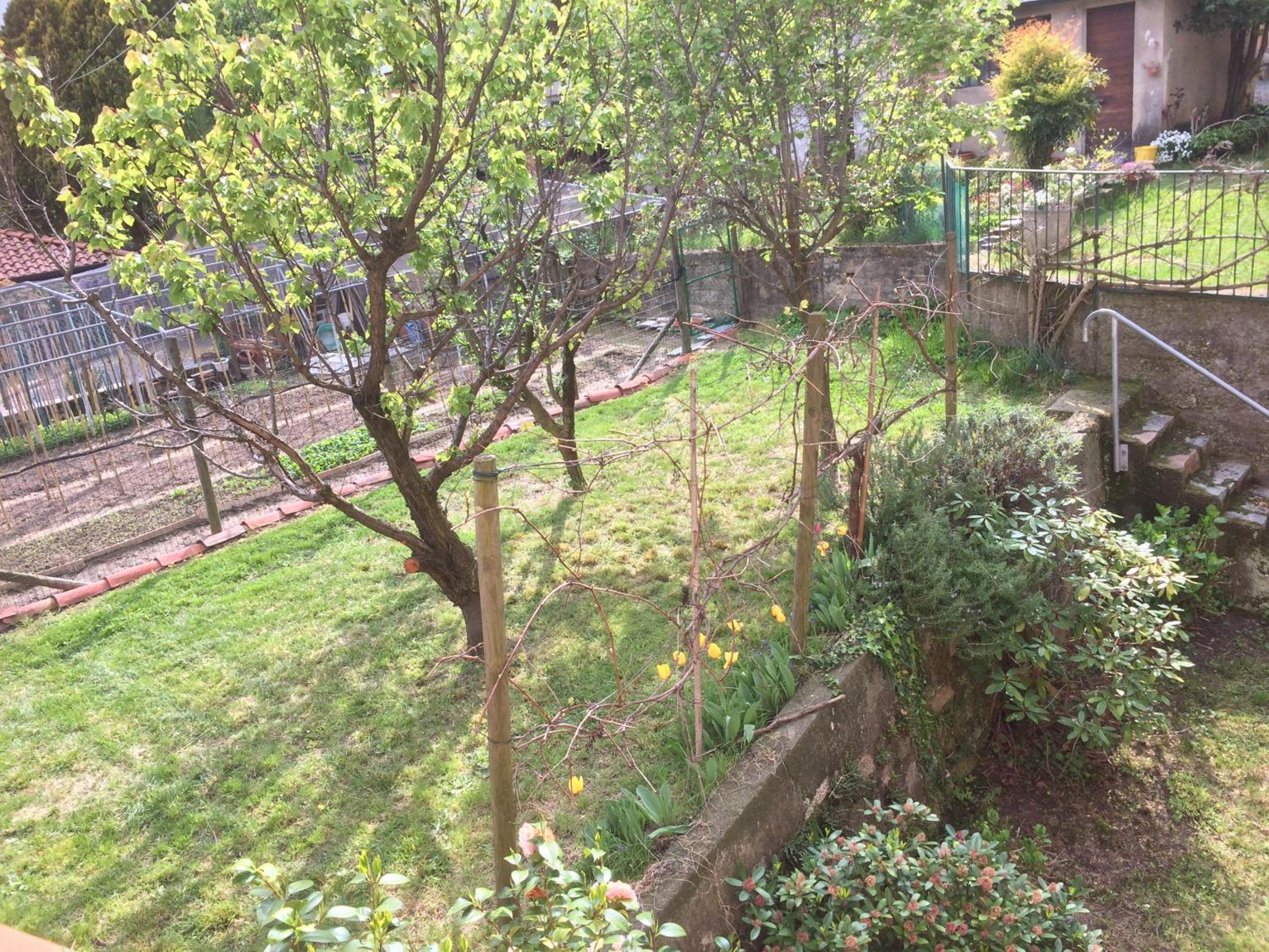 Photo 34