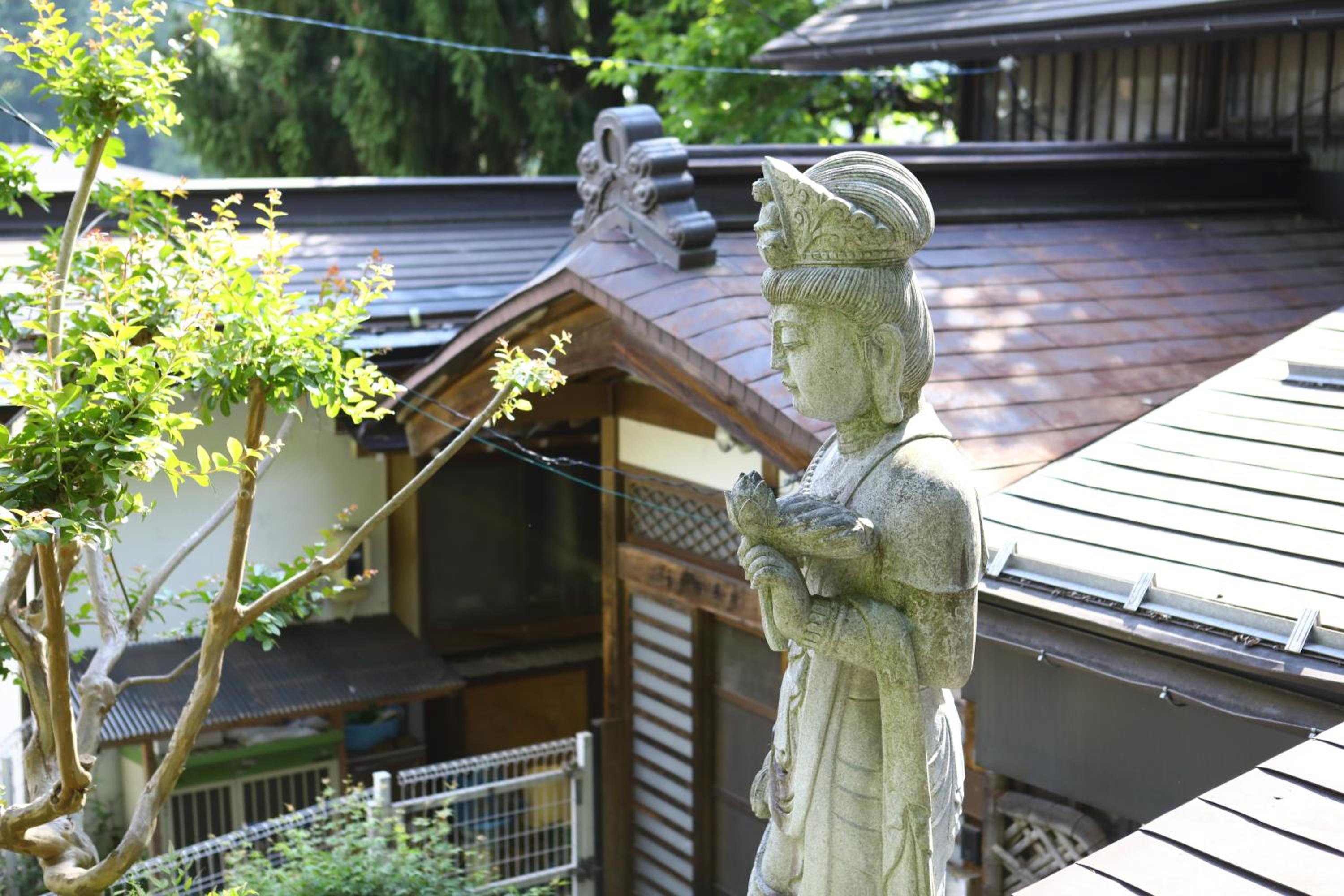 Photo 20