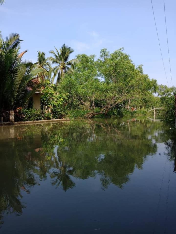 Young Coconut Garden Home Resort