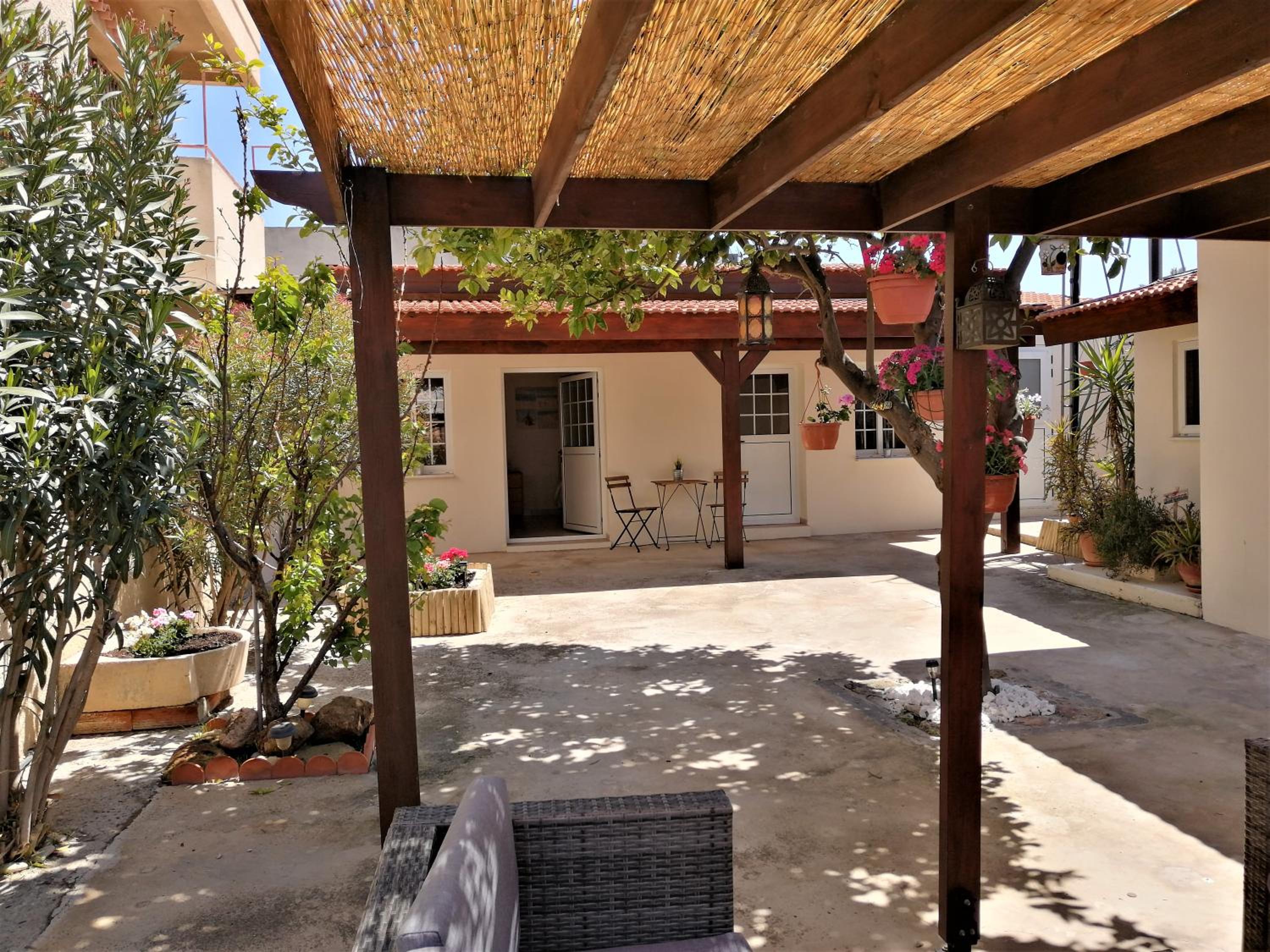 Lemon Tree Courtyard