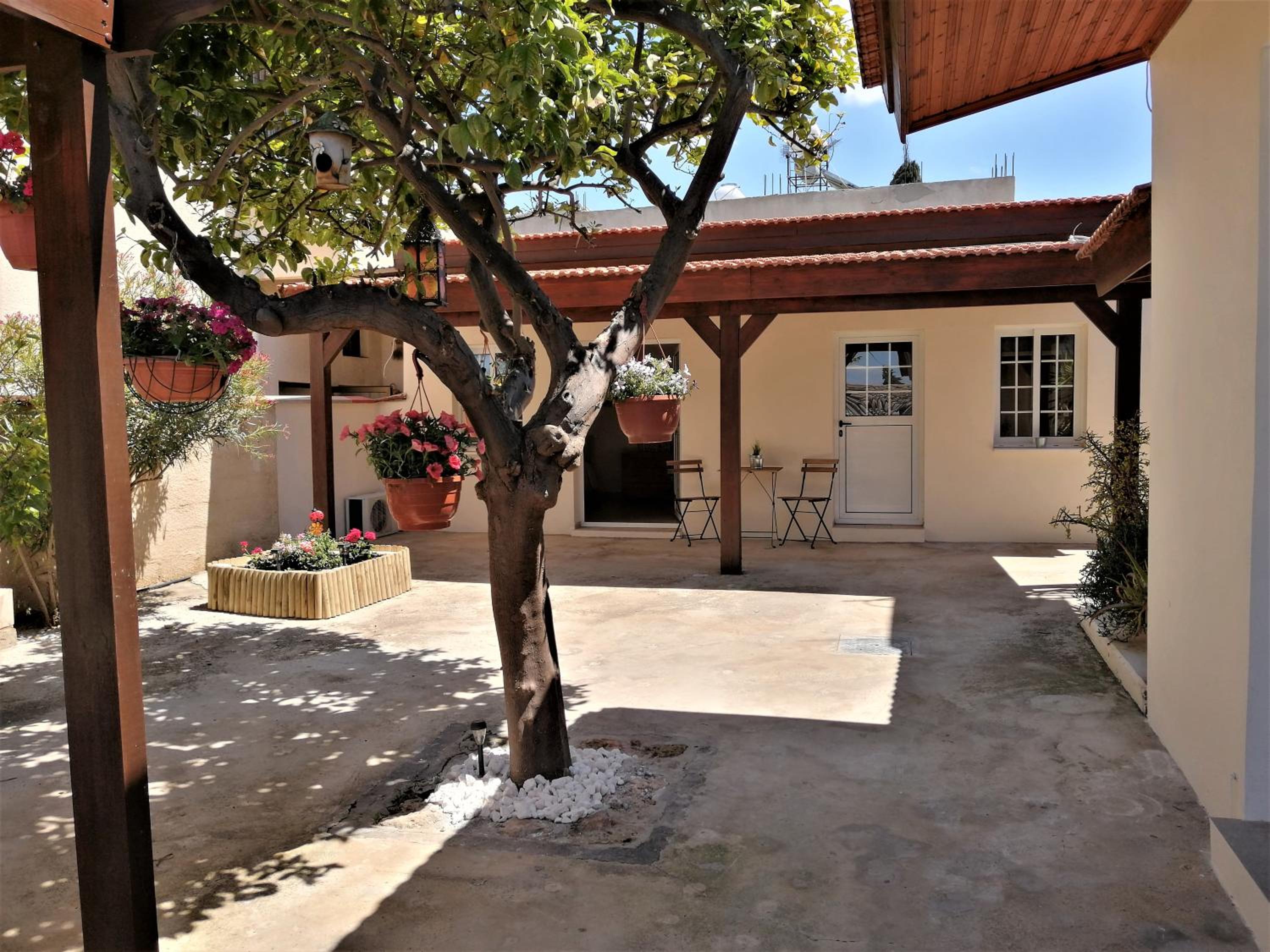 Lemon Tree Courtyard